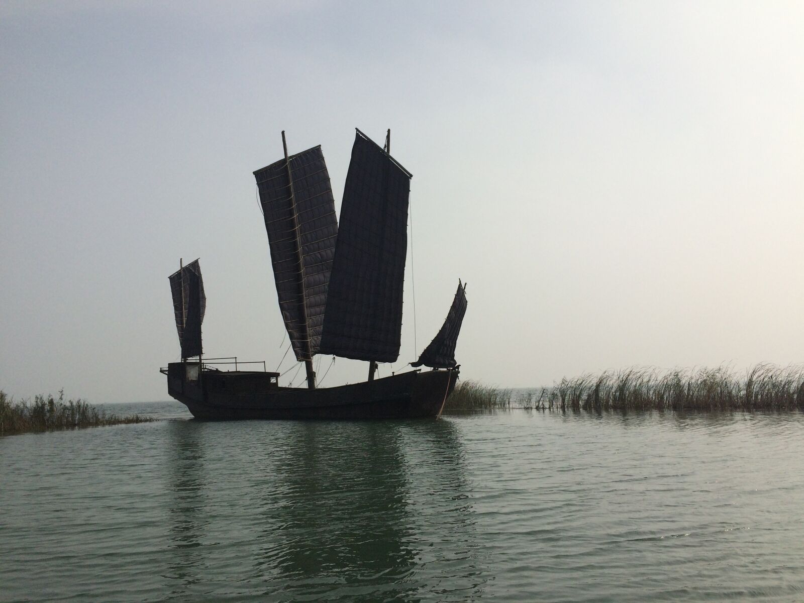iPhone 5s back camera 4.15mm f/2.2 sample photo. Taihu lake, sailboat, reed photography