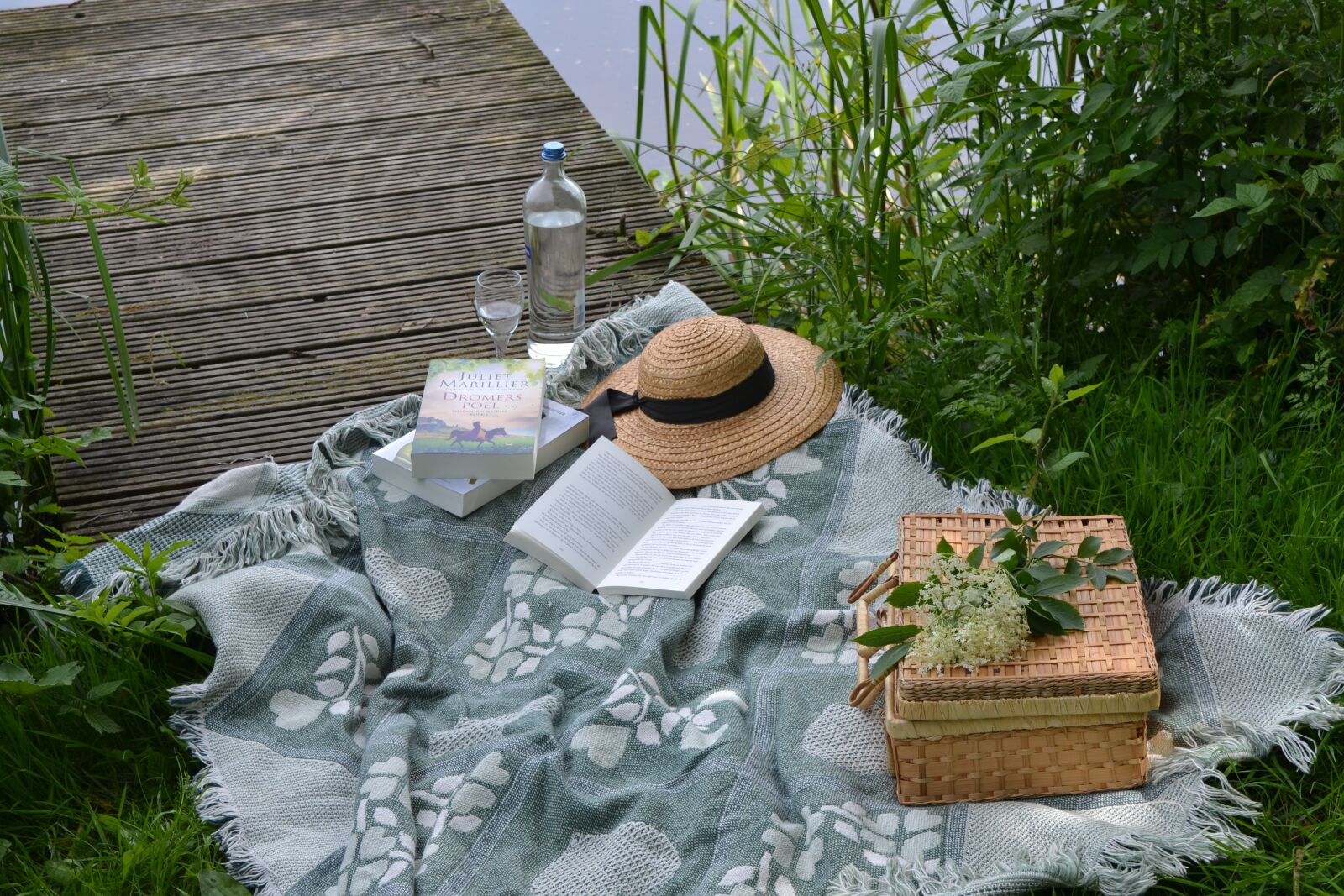 Nikon D3100 sample photo. Picnic, book, park photography
