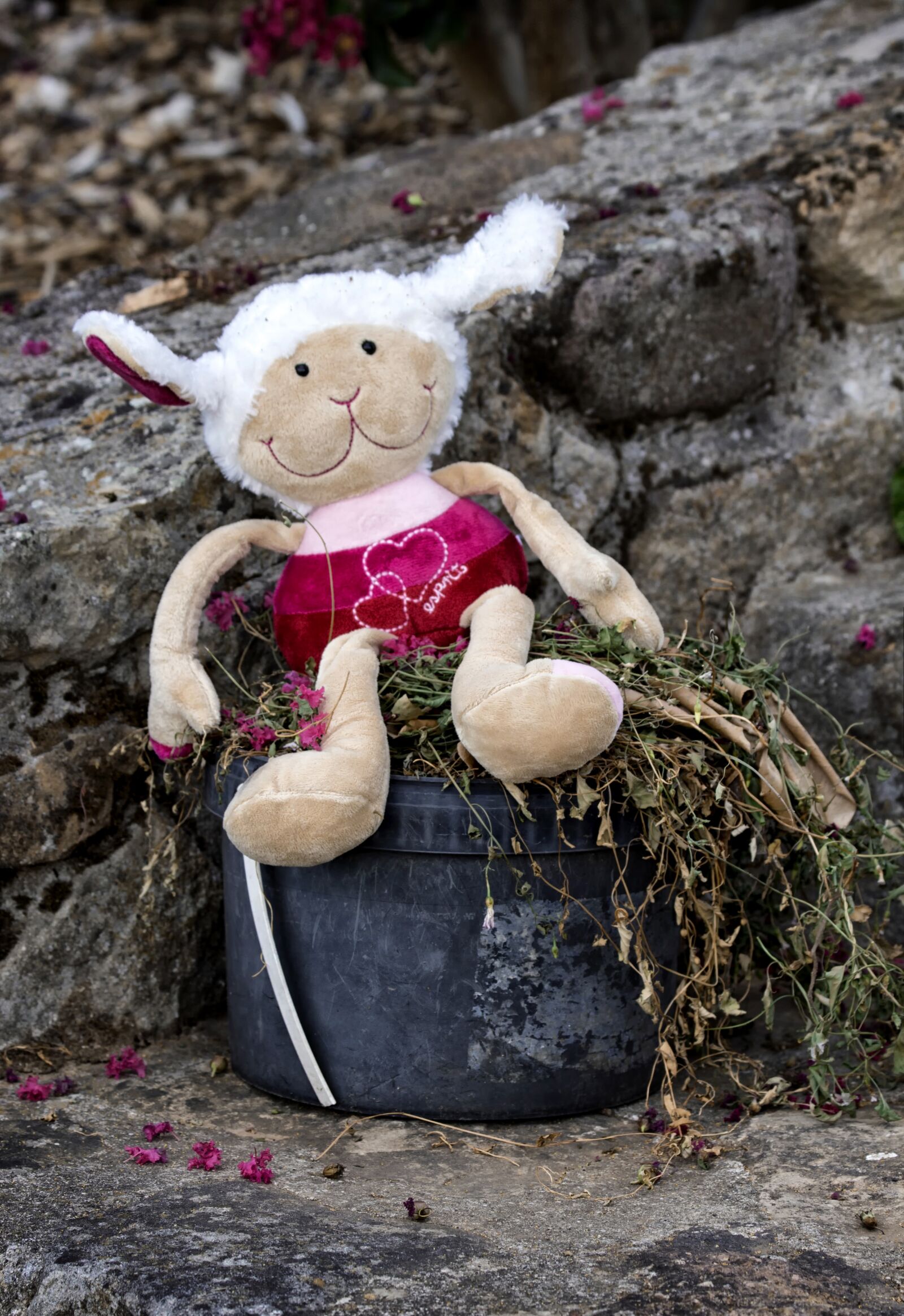 Canon EOS 650D (EOS Rebel T4i / EOS Kiss X6i) sample photo. Doudou, plush, sitting photography