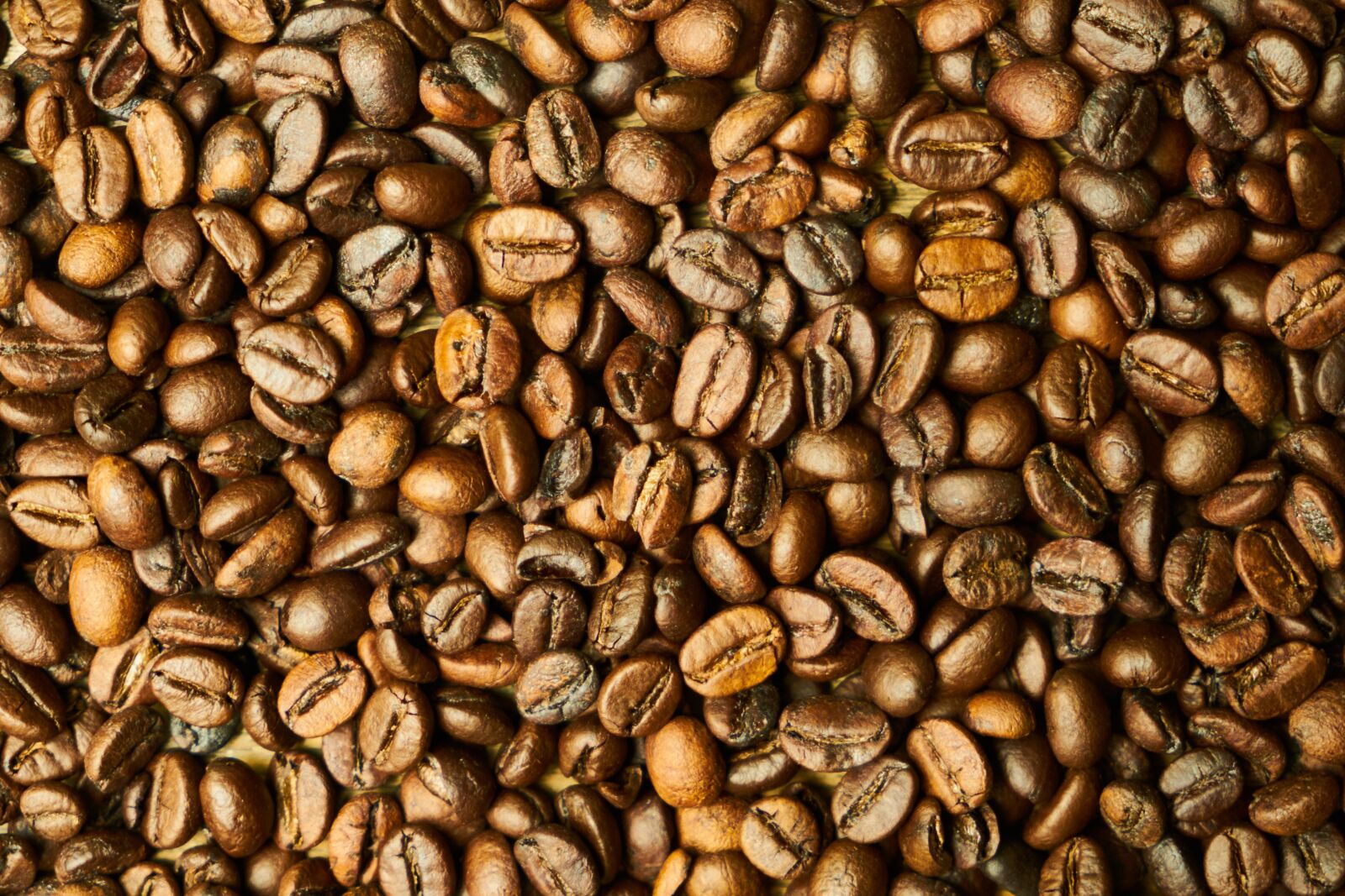 Sony a7R II sample photo. Core, seed, coffee photography