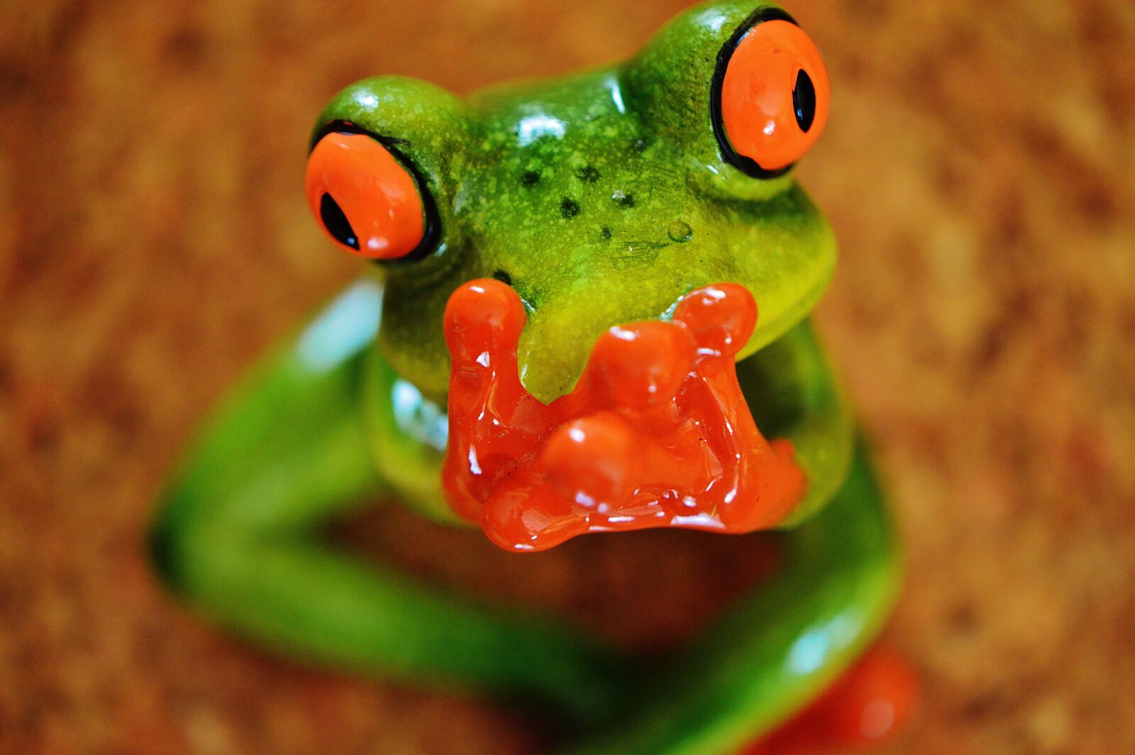 Nikon D3200 sample photo. Frog, funny, figure photography