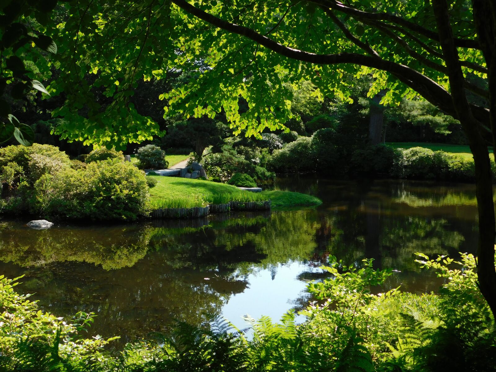 Nikon Coolpix B500 sample photo. Arboretum, garden, lagoon photography