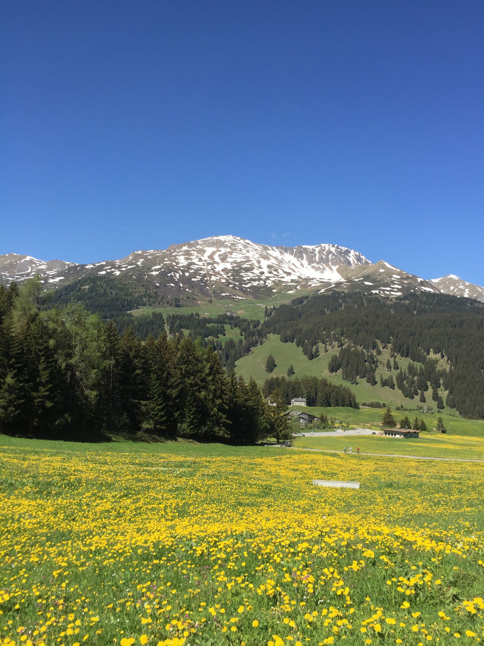 Apple iPhone 6 sample photo. Mountains, meadow, landscape photography