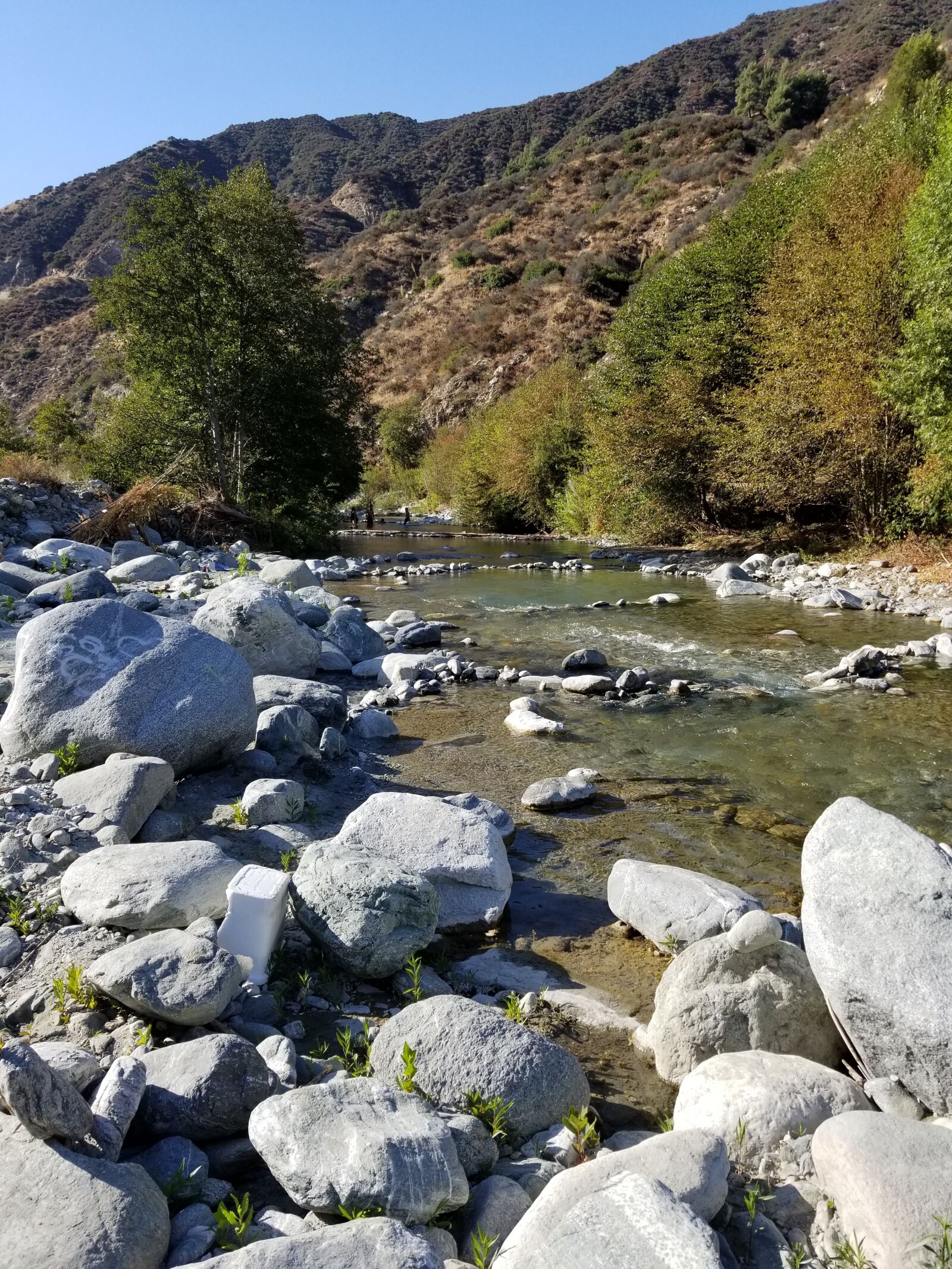 Samsung Galaxy S8 Active sample photo. Nature, river, weekend photography