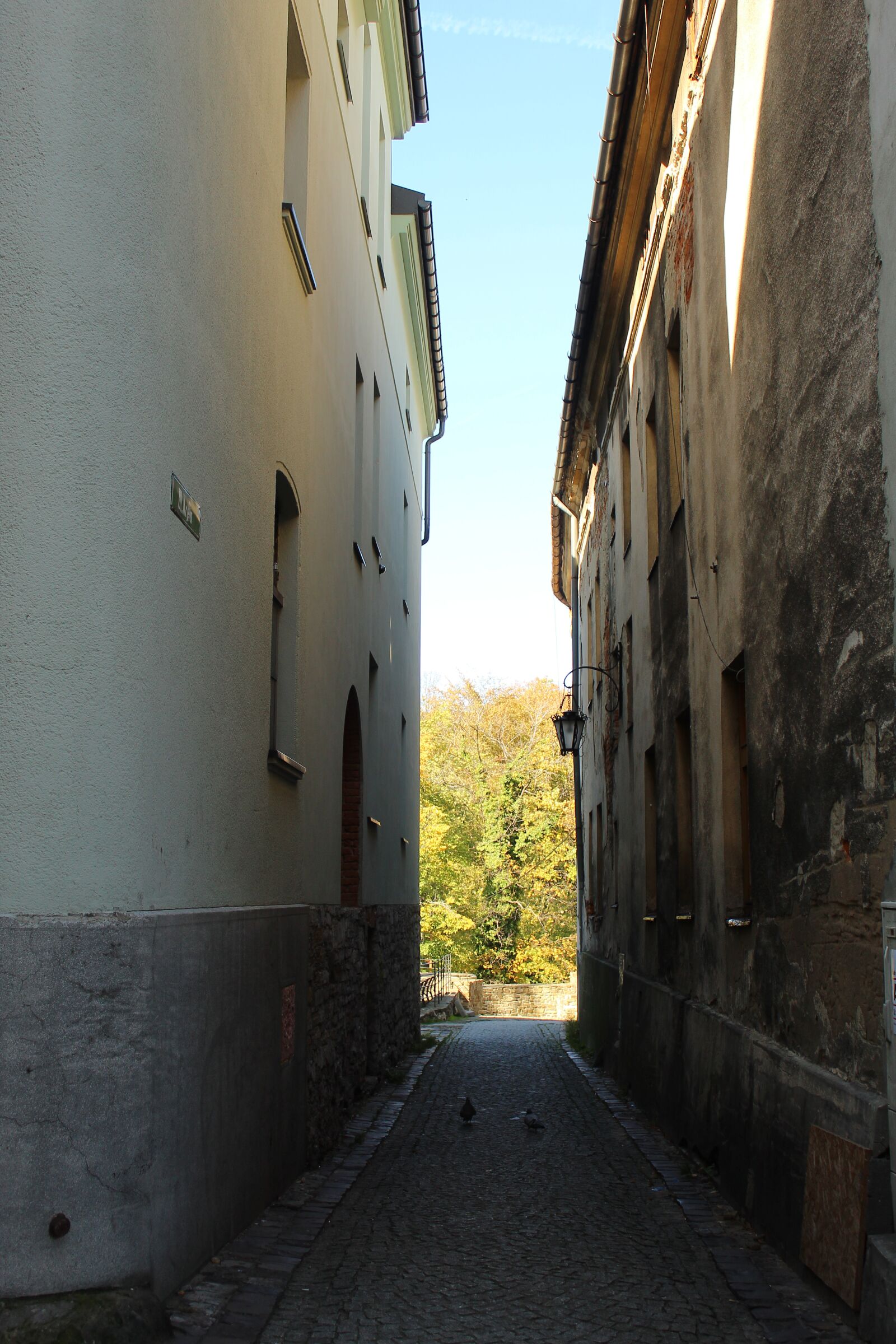 Canon EOS 4000D (EOS Rebel T100 / EOS 3000D) sample photo. Buildings, superstructure, shadow photography