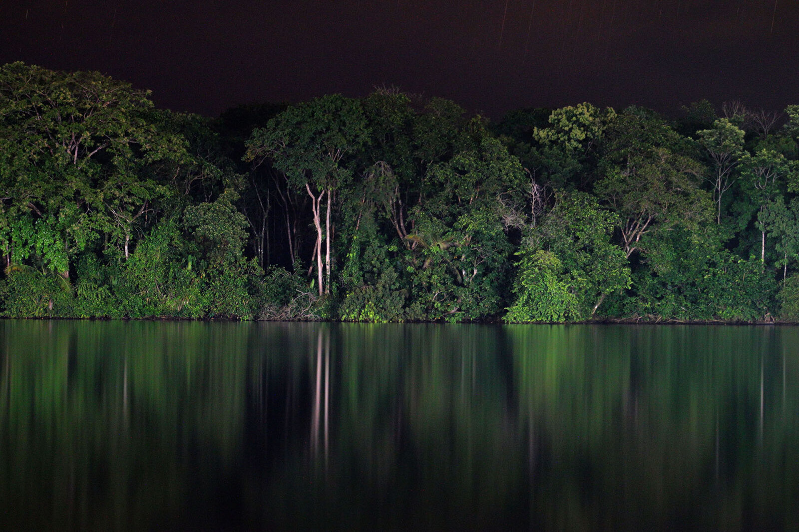 Canon EF 75-300mm f/4-5.6 sample photo. Caribbean, costa, rica, mangrove photography