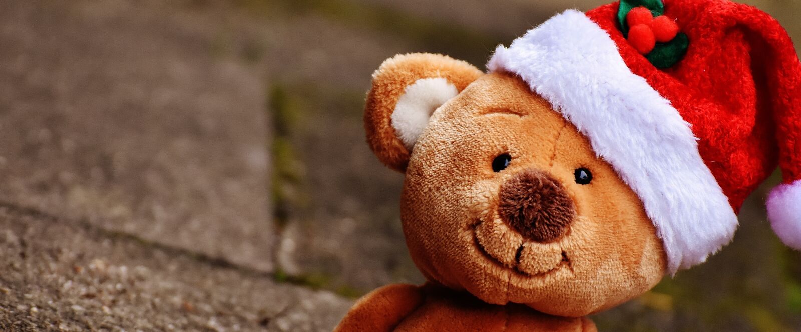 Nikon D7200 sample photo. Christmas, teddy, soft toy photography