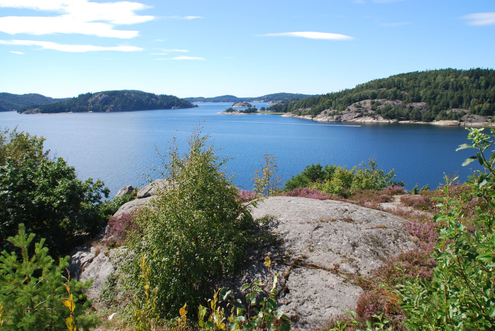 Nikon D60 sample photo. Trough town, norway, more photography
