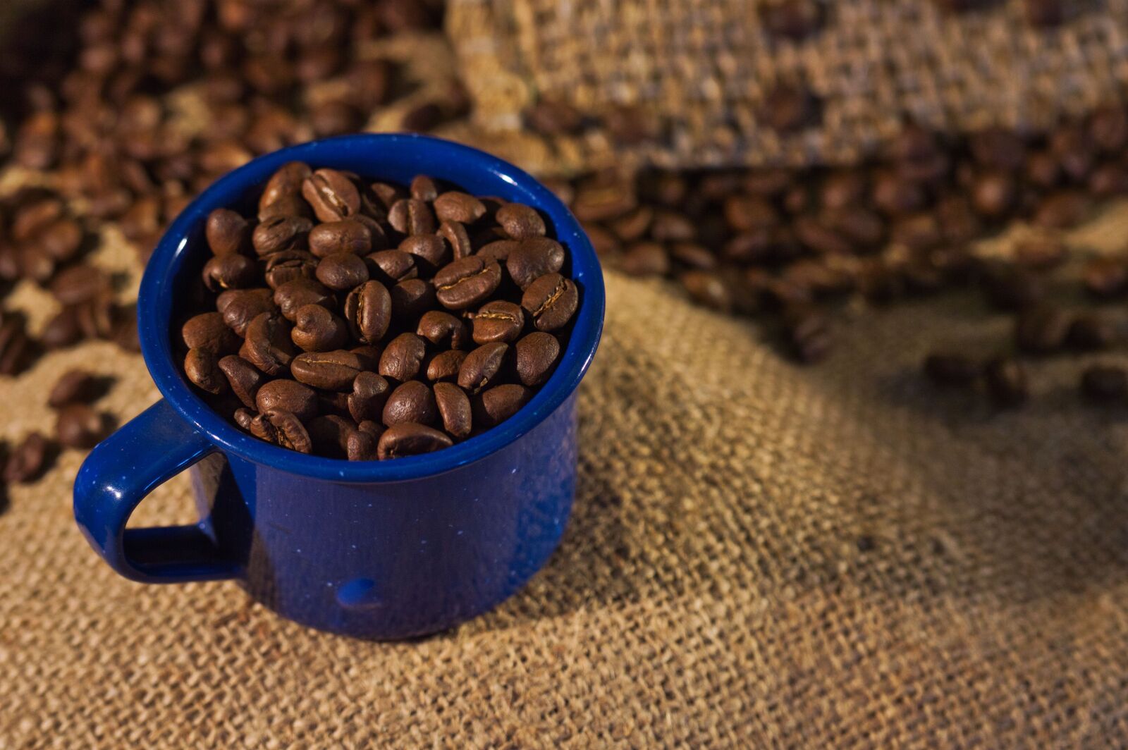 Nikon D3200 sample photo. Costa rica, still life photography