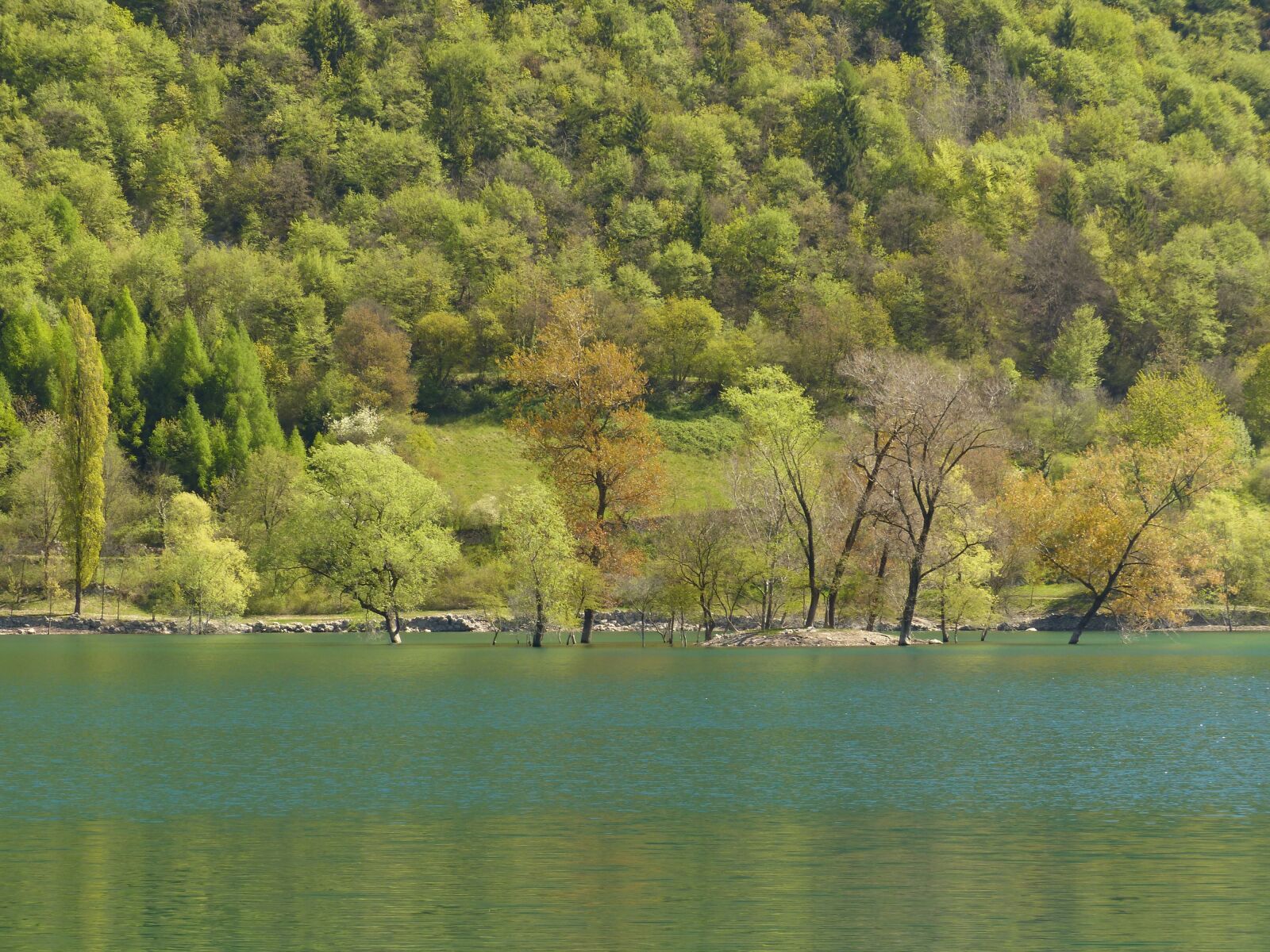 Panasonic Lumix DMC-FZ200 sample photo. Tenno lake, lake, waters photography