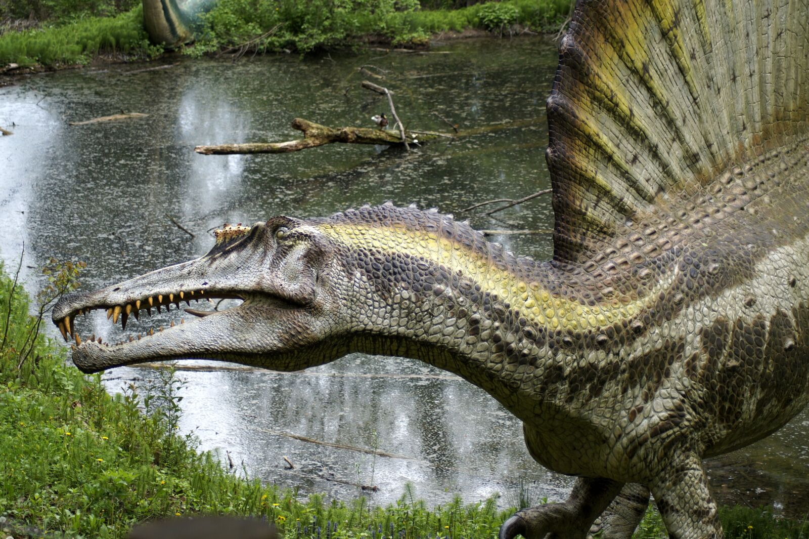 Sony SLT-A58 sample photo. Dinosaur, forest, tooth photography