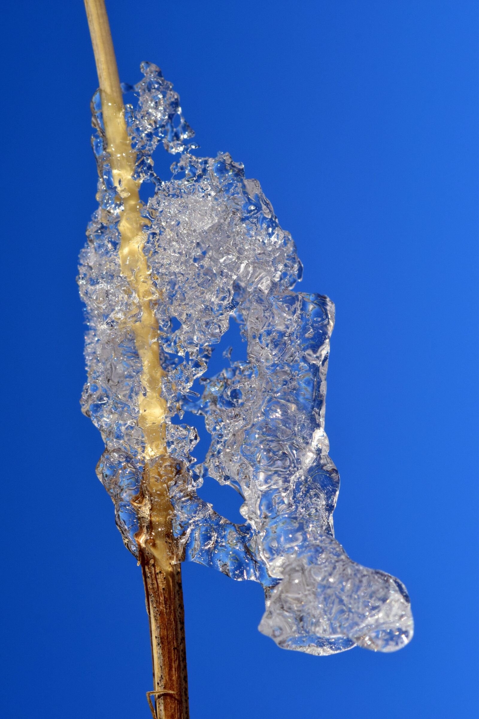 Nikon D3300 sample photo. Ice, sky, water photography