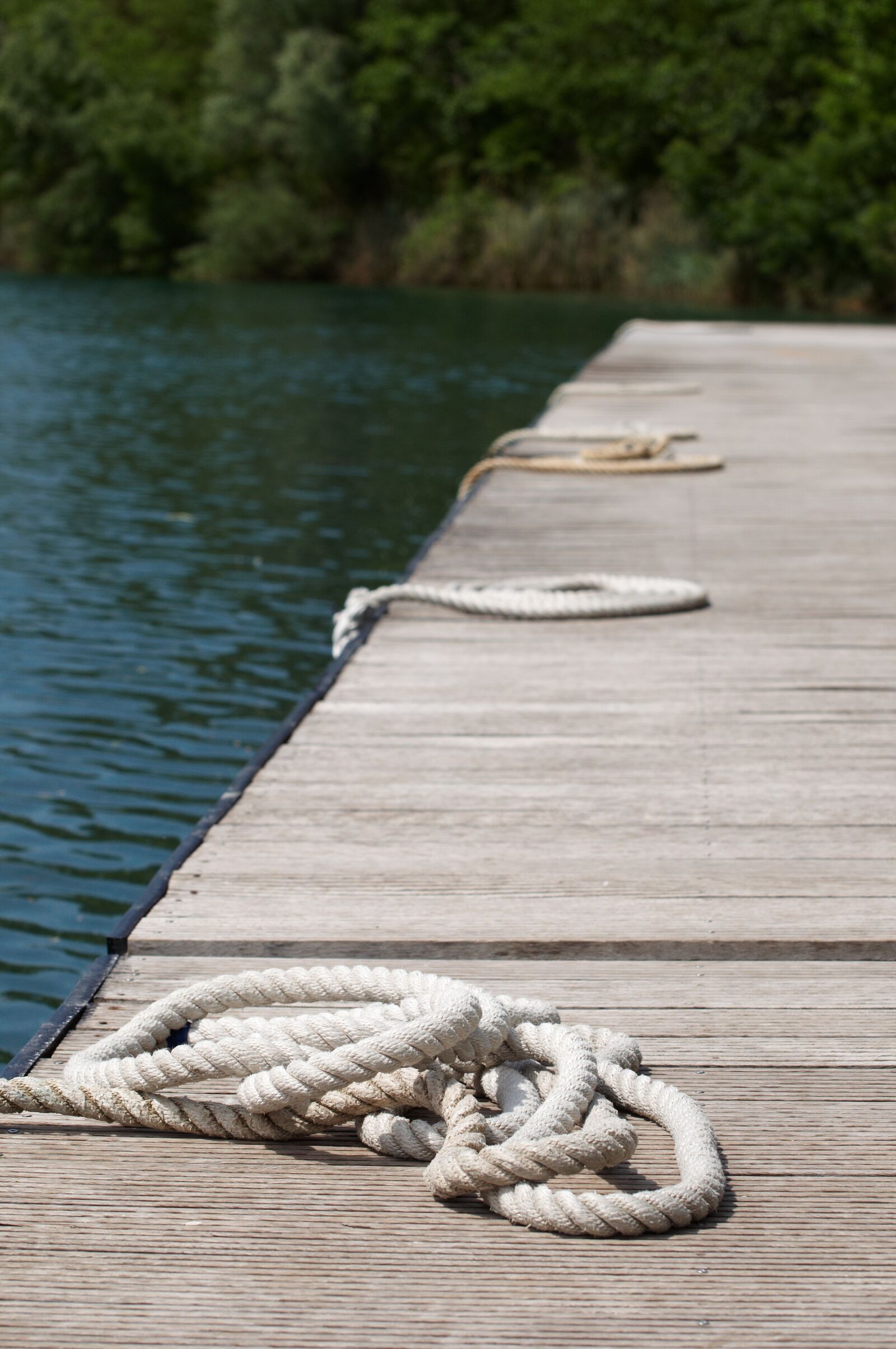 Nikon D90 sample photo. Driftwood, on, wood photography