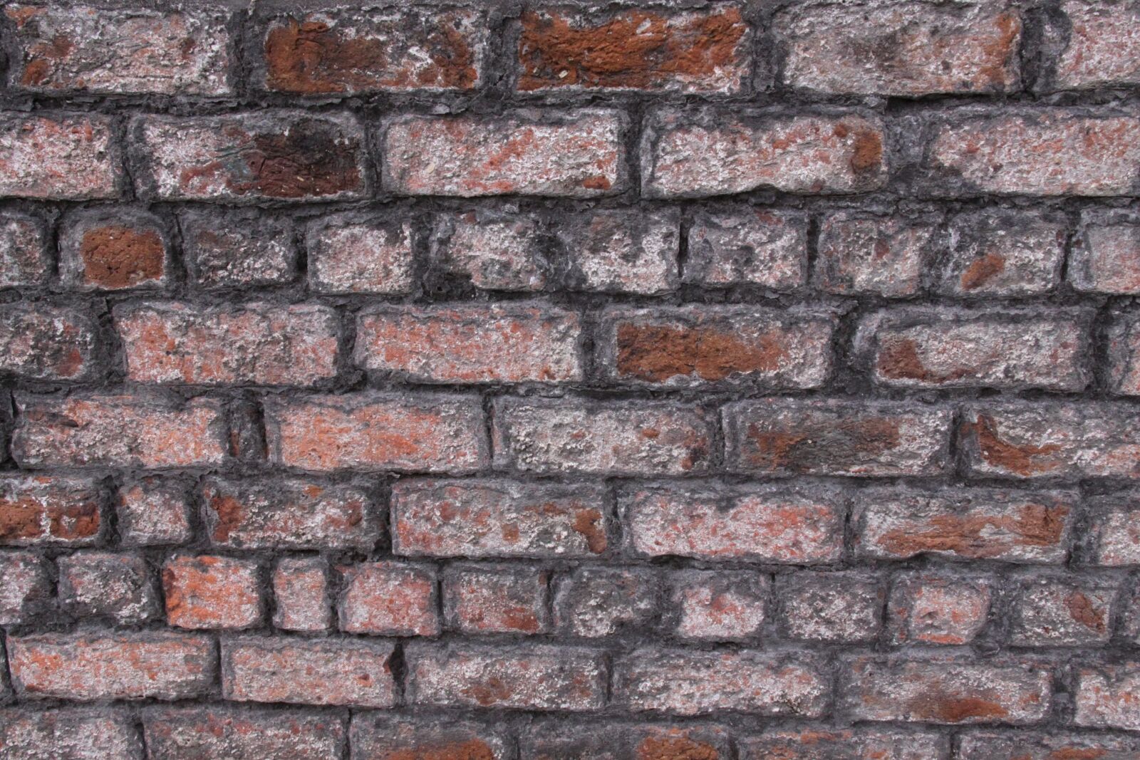 Canon EOS 50D sample photo. Brick, wall, stone photography