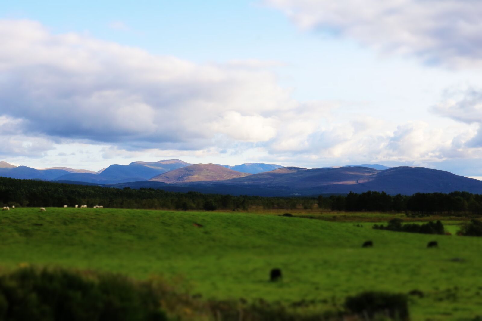 Canon EOS 750D (EOS Rebel T6i / EOS Kiss X8i) sample photo. Scotland, landscape, nature photography