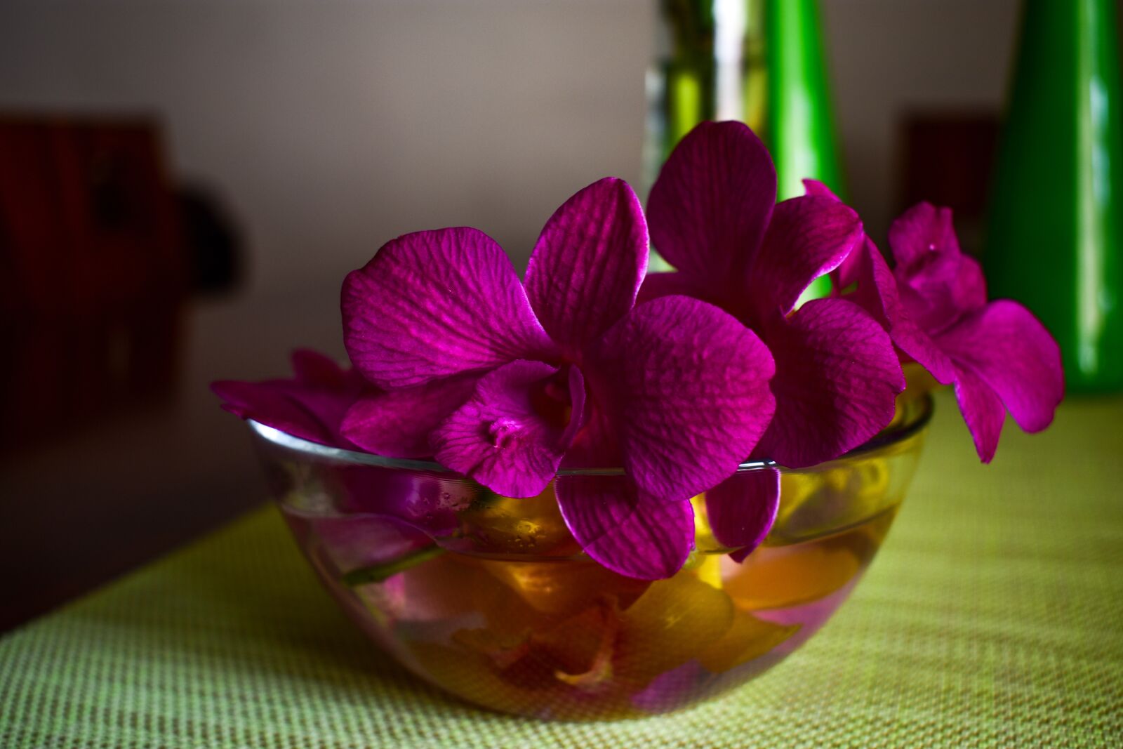Nikon D3400 sample photo. Flower, plant, petal photography