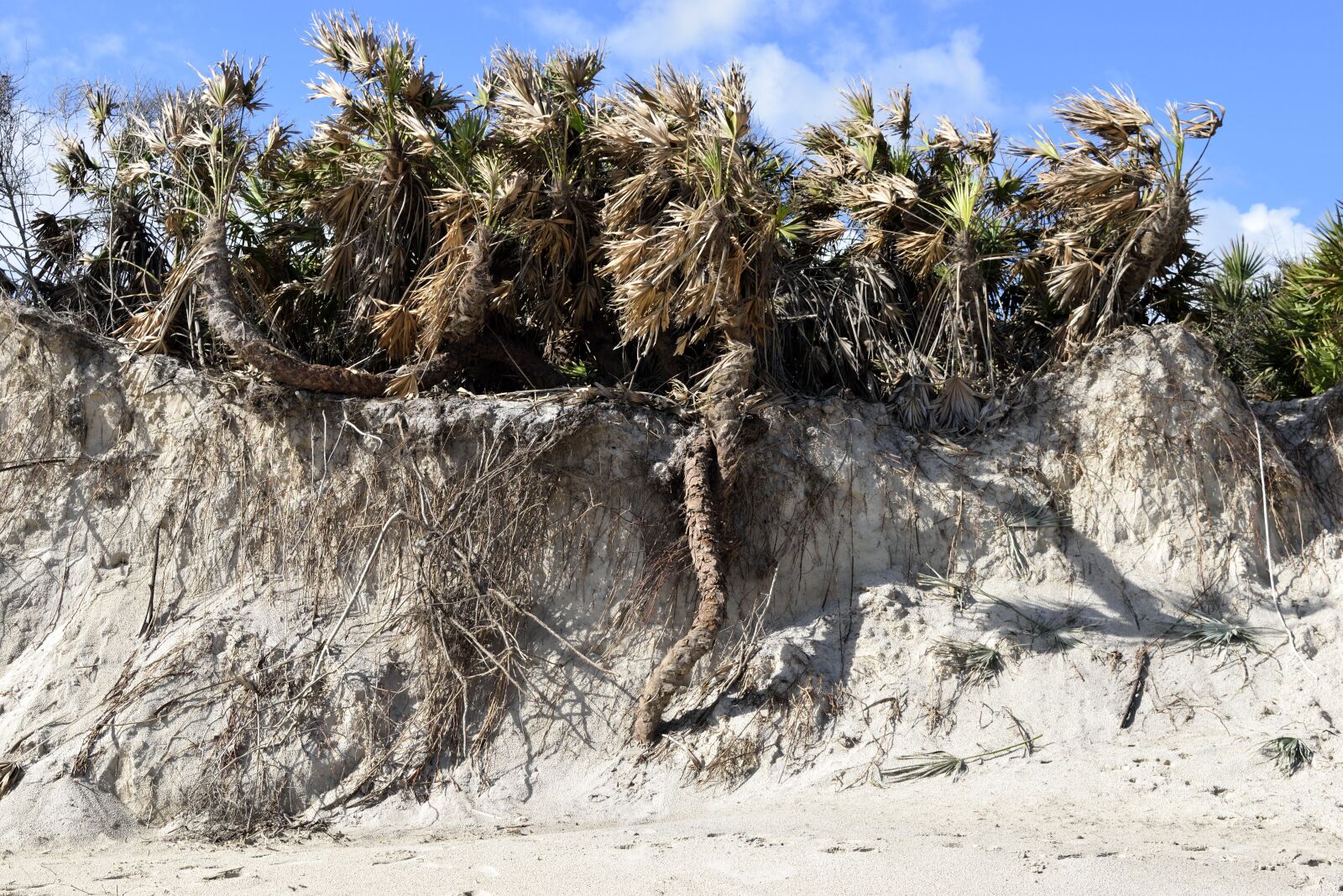 Nikon D3300 sample photo. Beach erosion, hurricane matthew photography