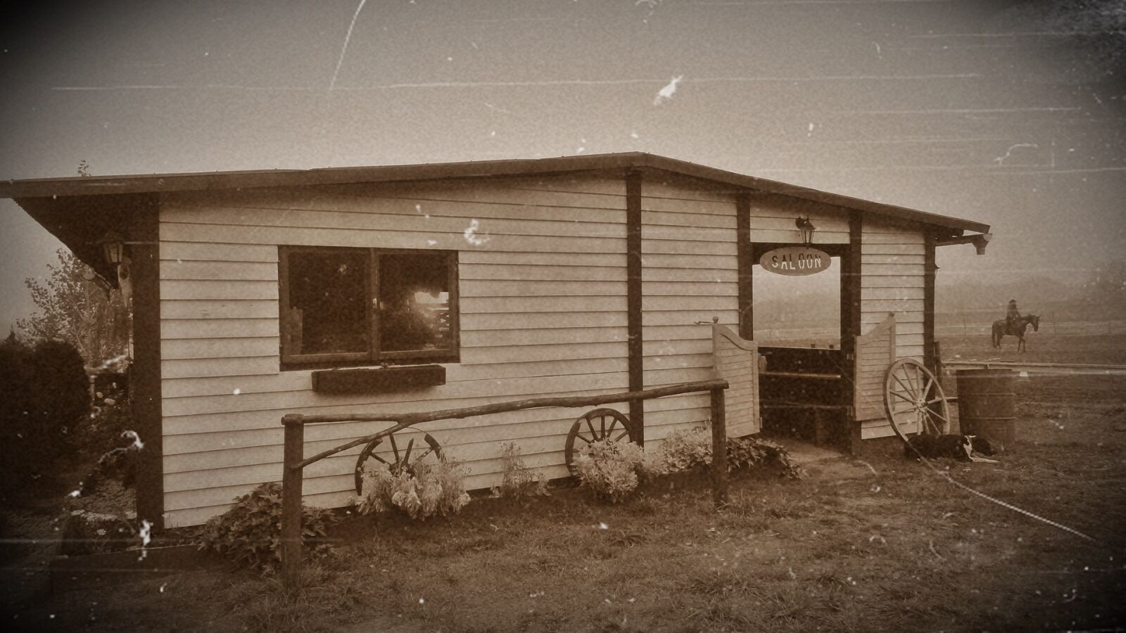 Sony DSC-HX5V sample photo. Horse, ranch, western photography