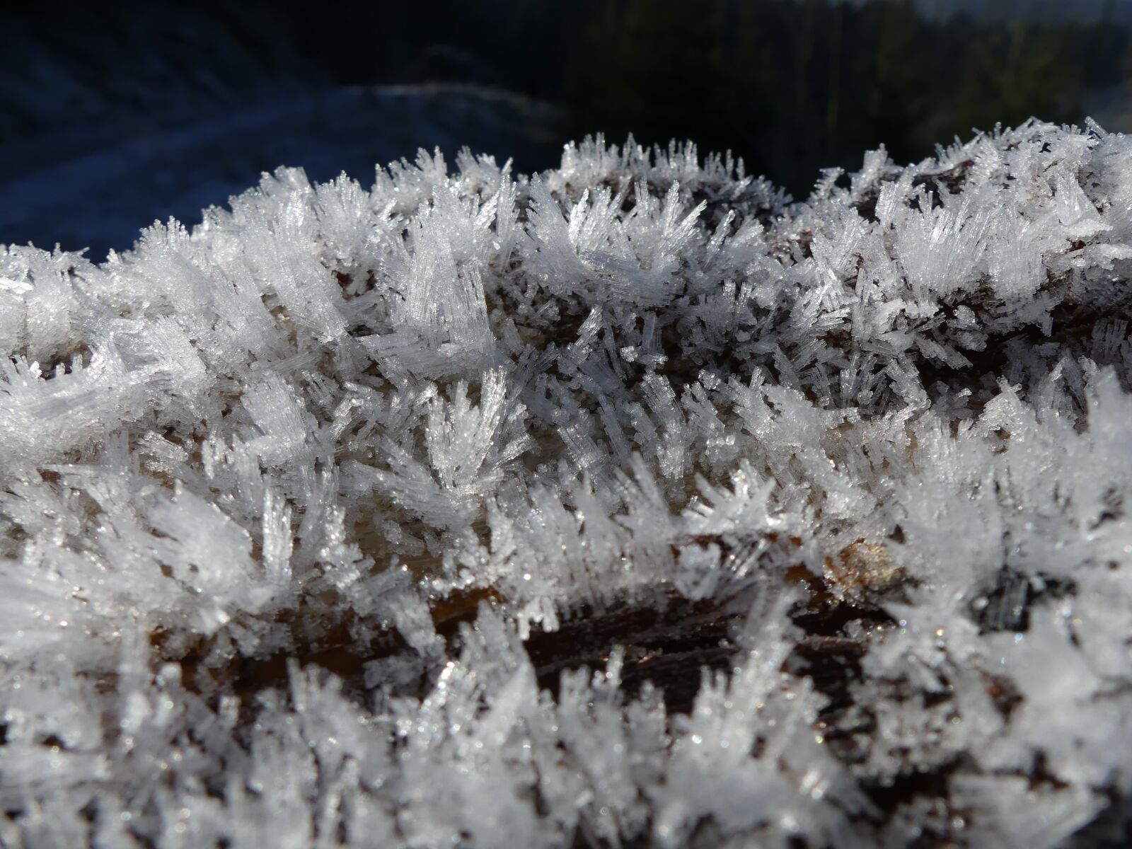 Panasonic Lumix DMC-FZ300 sample photo. Ice crystal, winter, ice photography