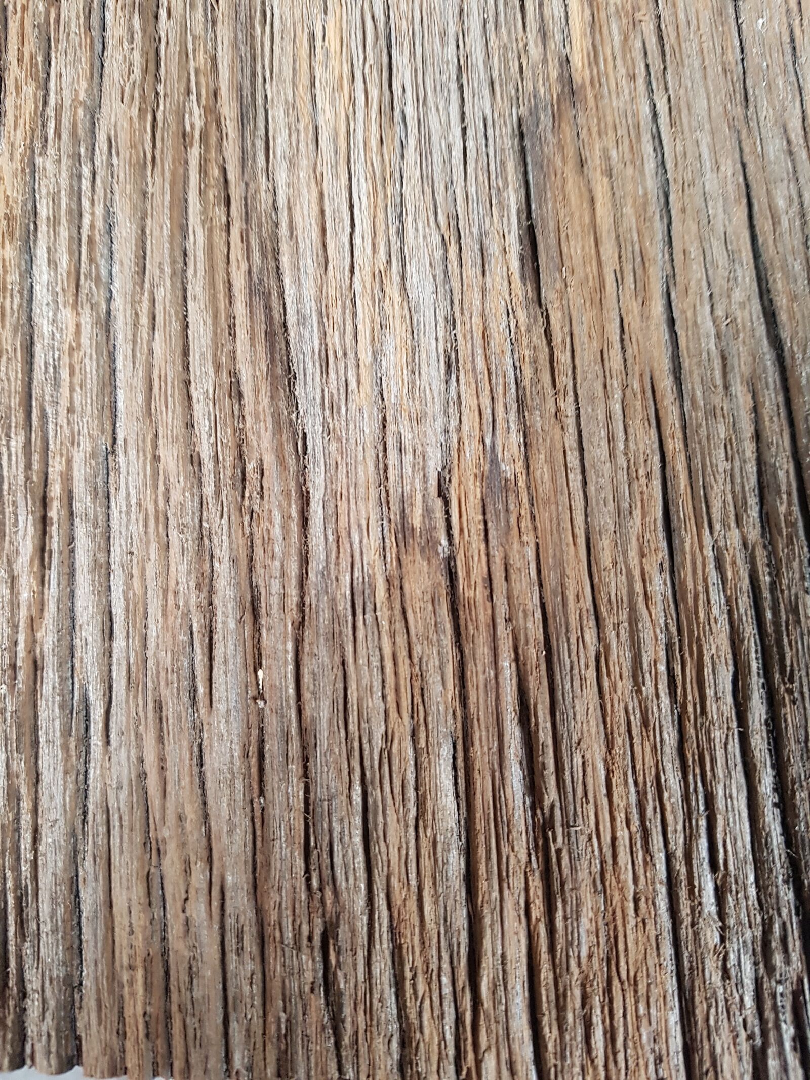 Samsung SM-G930F sample photo. Wood, texture, pattern photography