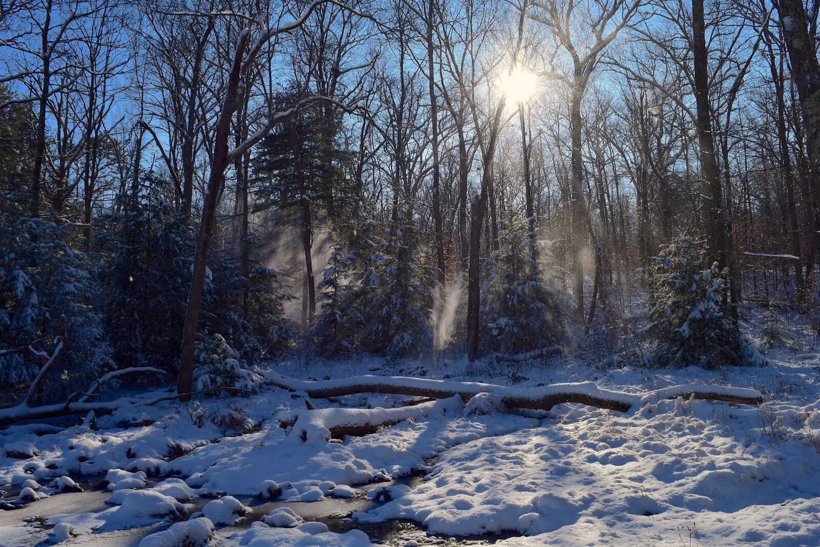 Nikon D3300 sample photo. Snow, trees, sun photography