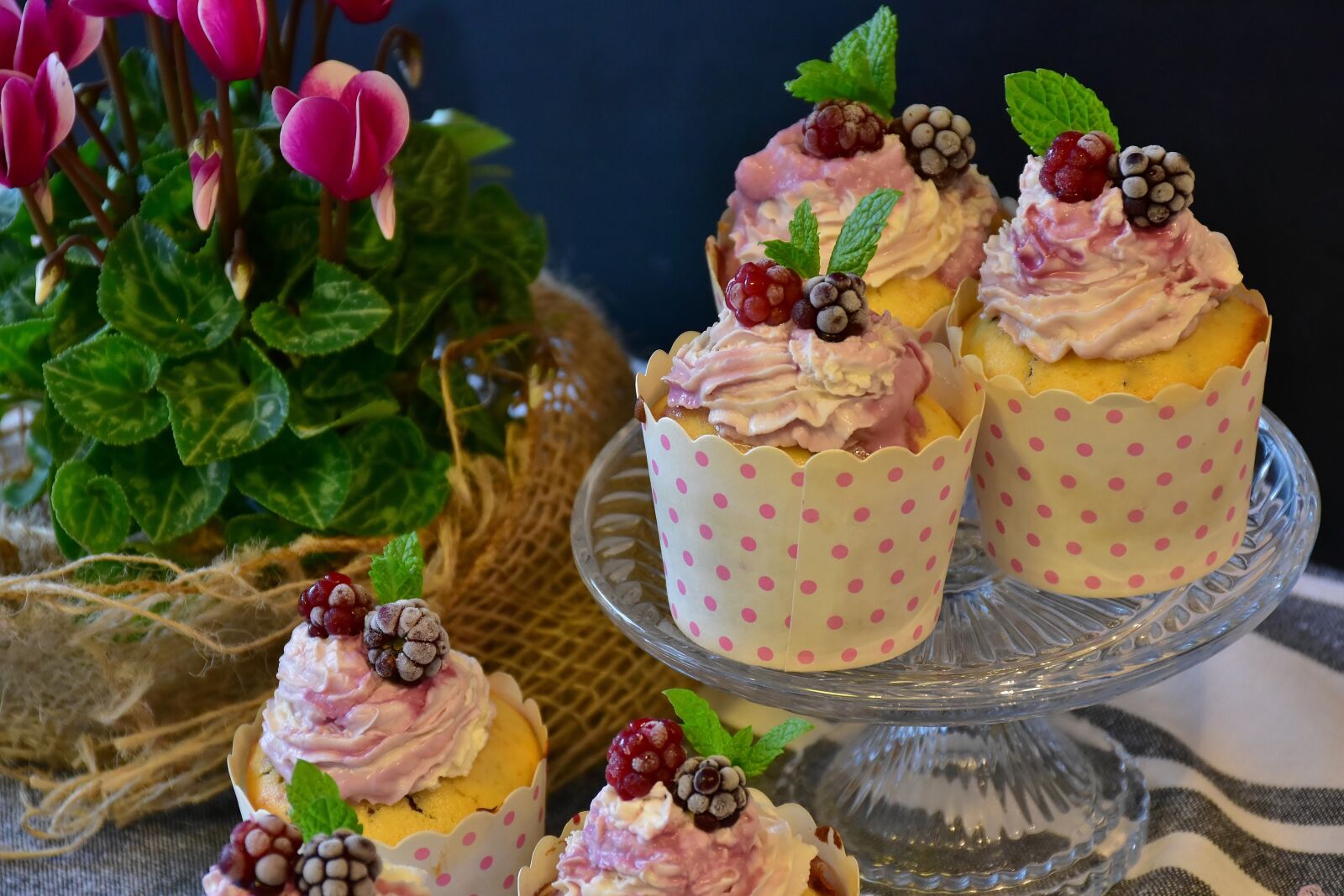 Nikon D7200 sample photo. Cupcake, muffin, cake photography
