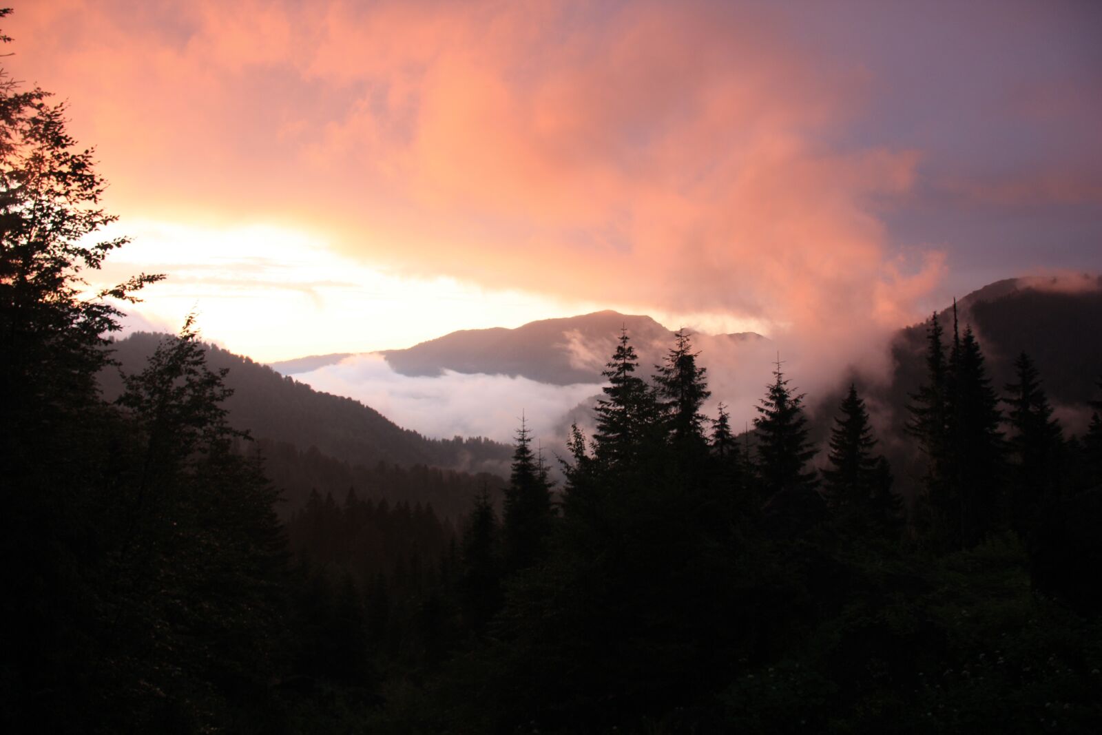 Canon EOS 450D (EOS Rebel XSi / EOS Kiss X2) sample photo. Sunset, artvin, borçka photography