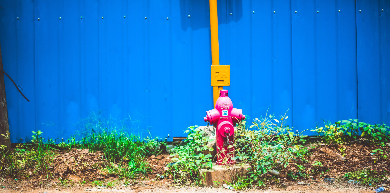 Canon EF 85mm F1.8 USM sample photo. Pink, steel, water, pump photography