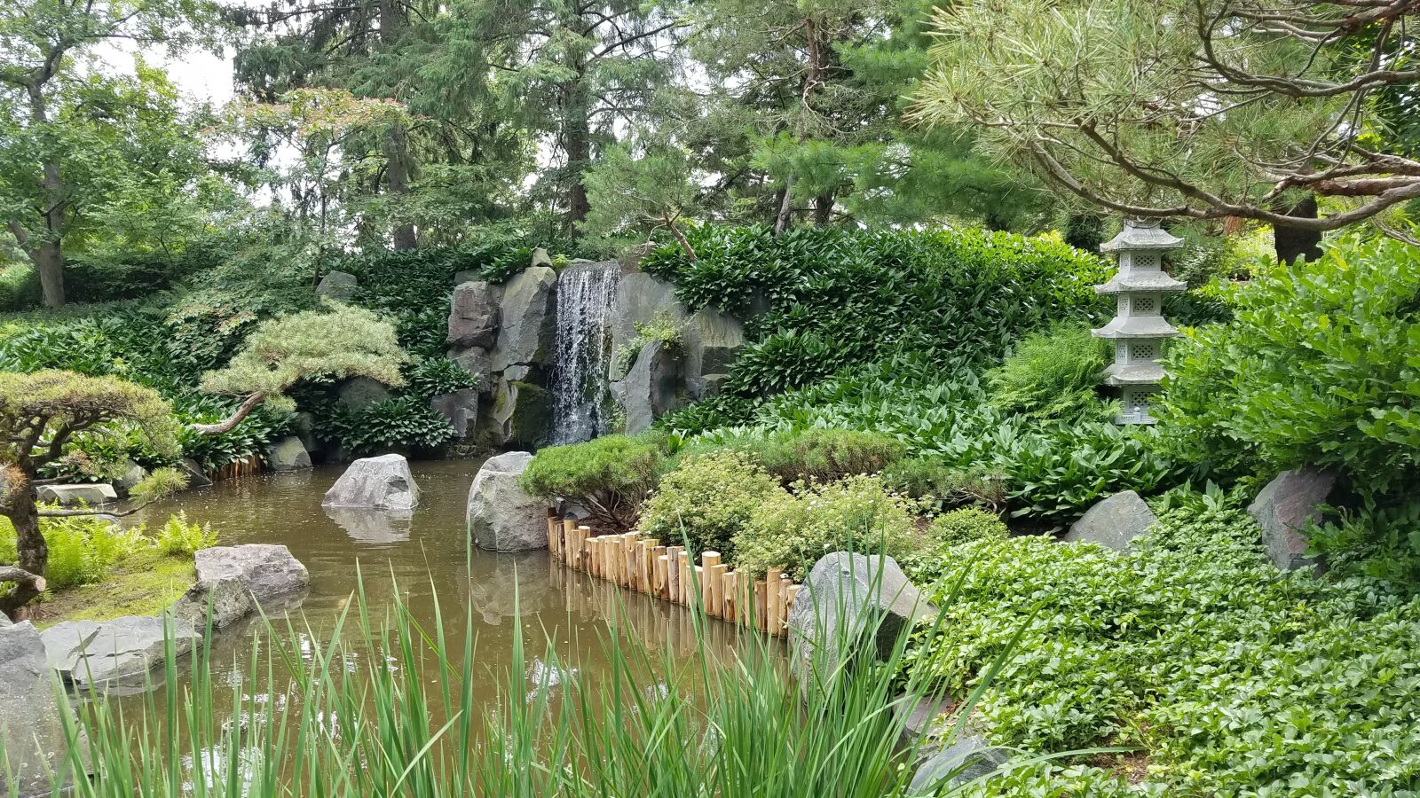 Samsung SM-G930T sample photo. Koi pond, arboretum, japanese photography