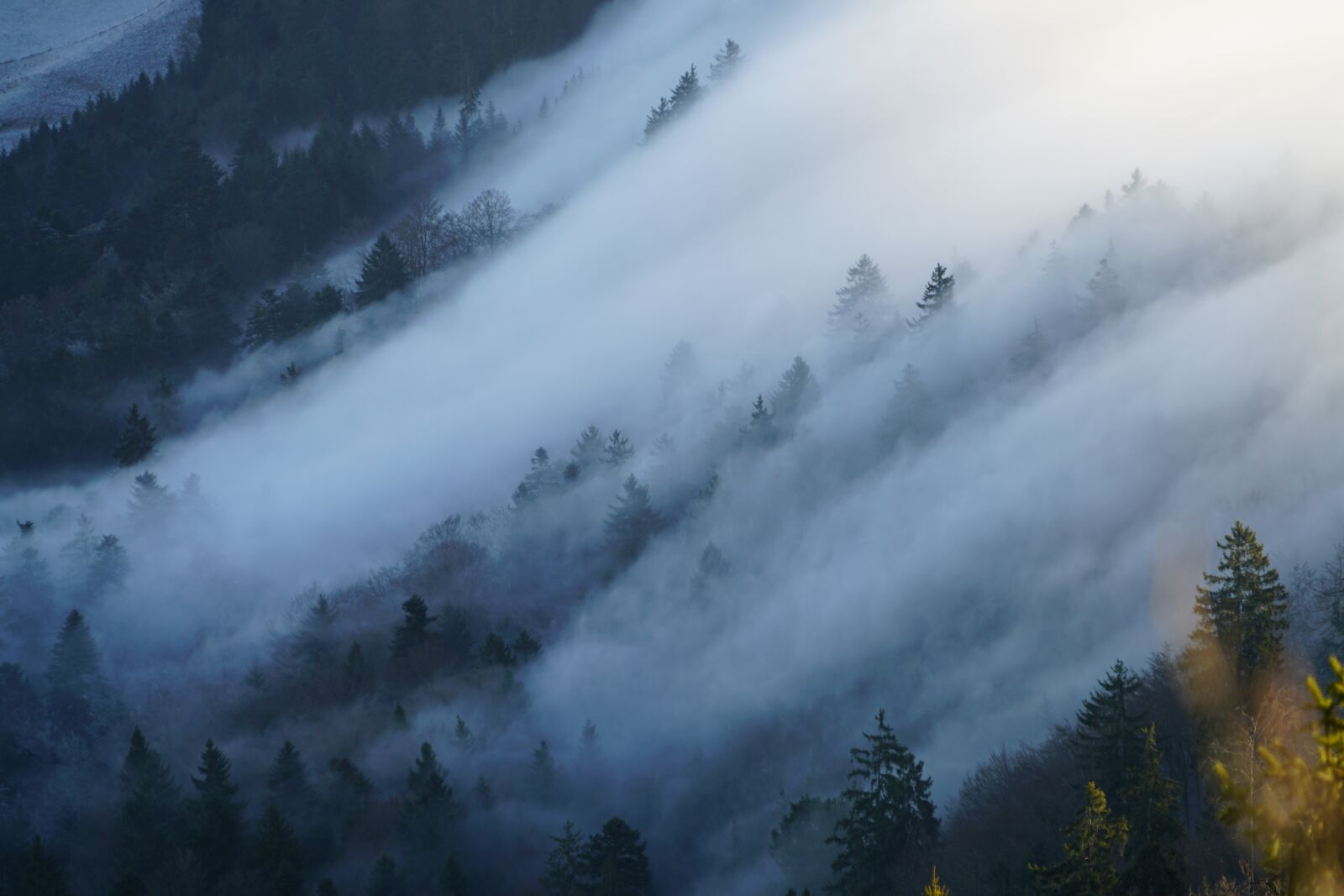 Sony a7R II + Sony FE 24-240mm F3.5-6.3 OSS sample photo. Fog, nebellandschaft, wave of photography