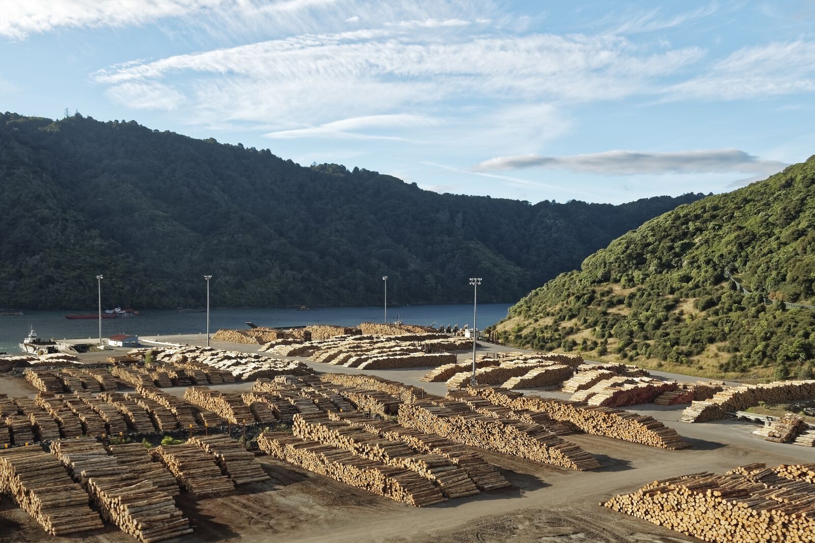 Nikon D500 sample photo. New zealand, ngakuta bay photography
