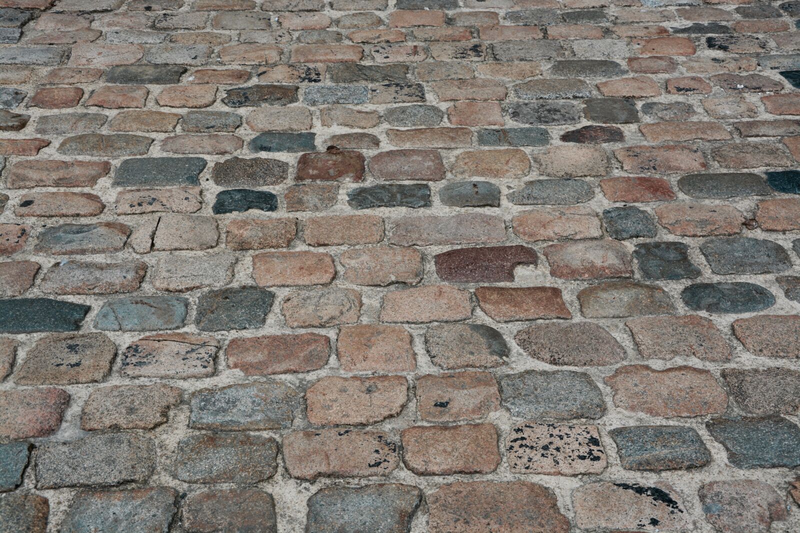 Nikon D5200 sample photo. Pavers, stones, soil photography