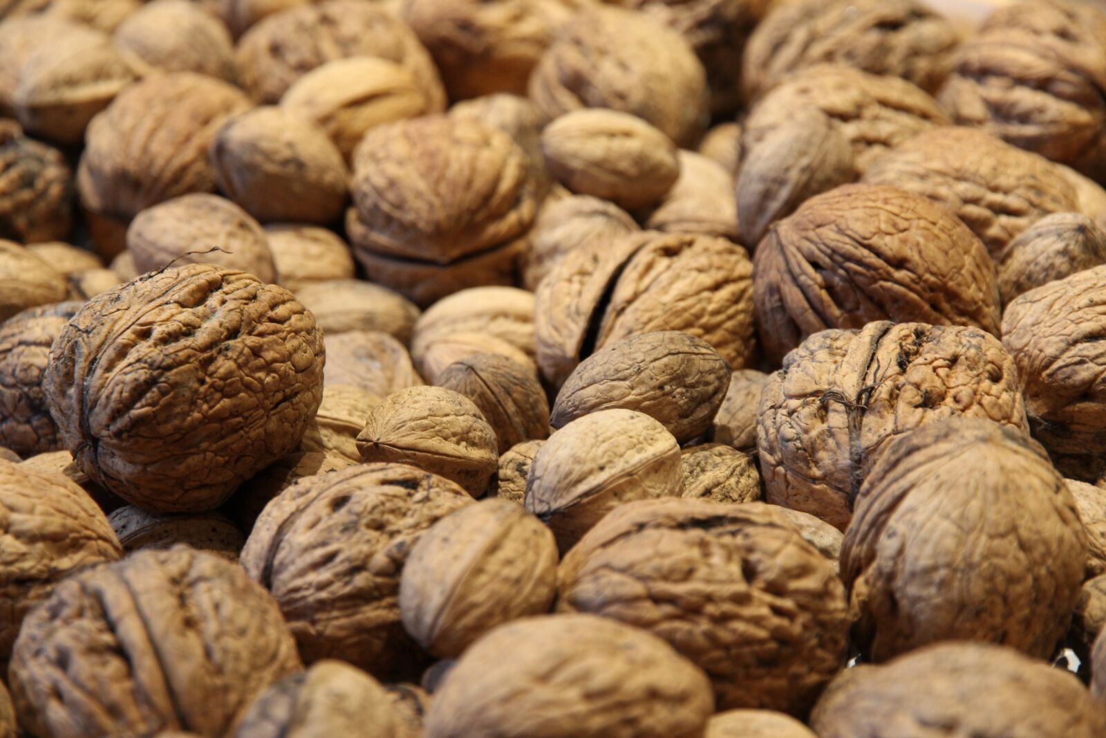 Canon EOS 600D (Rebel EOS T3i / EOS Kiss X5) + Canon EF-S 15-85mm F3.5-5.6 IS USM sample photo. Walnuts, walnut, nuts photography