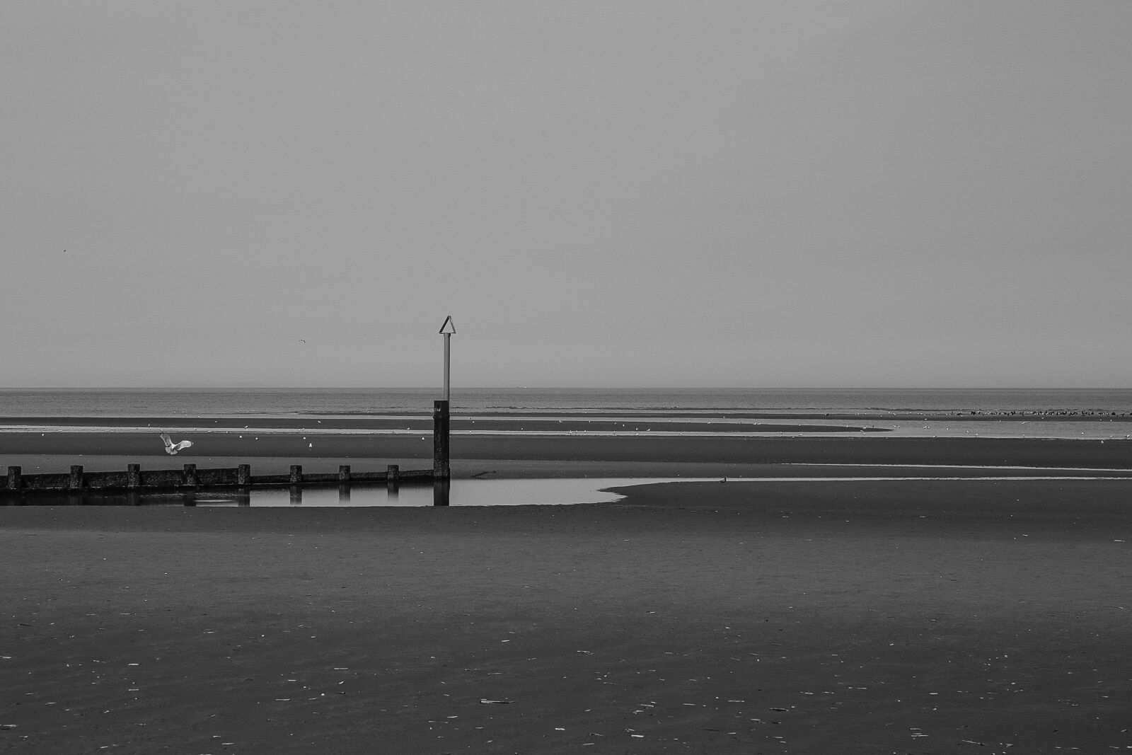 Canon EF 24-105mm F4L IS USM sample photo. Beach, sand, coast photography