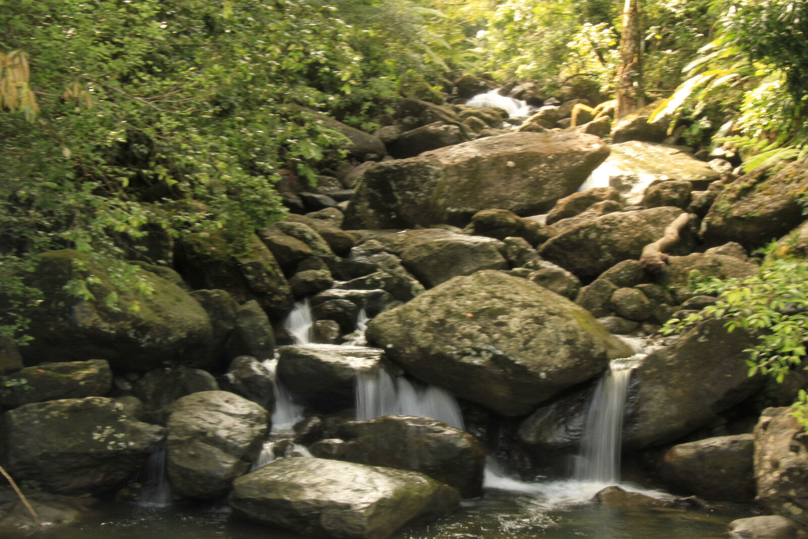 Canon EOS 7D sample photo