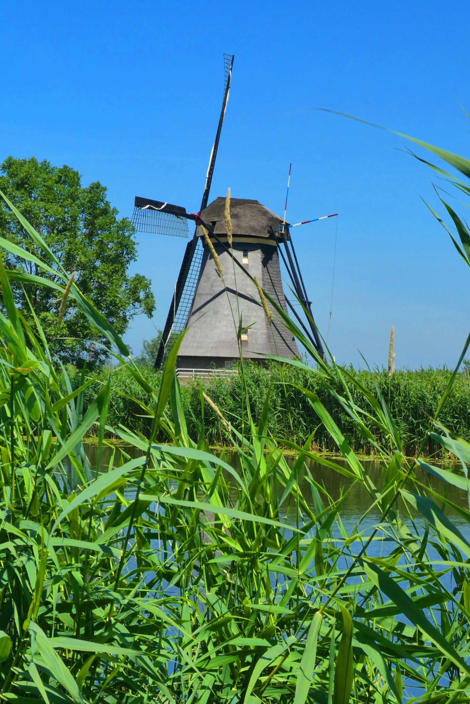 Panasonic Lumix DC-ZS70 (Lumix DC-TZ90) sample photo. Mill, kinderdijk, netherlands photography