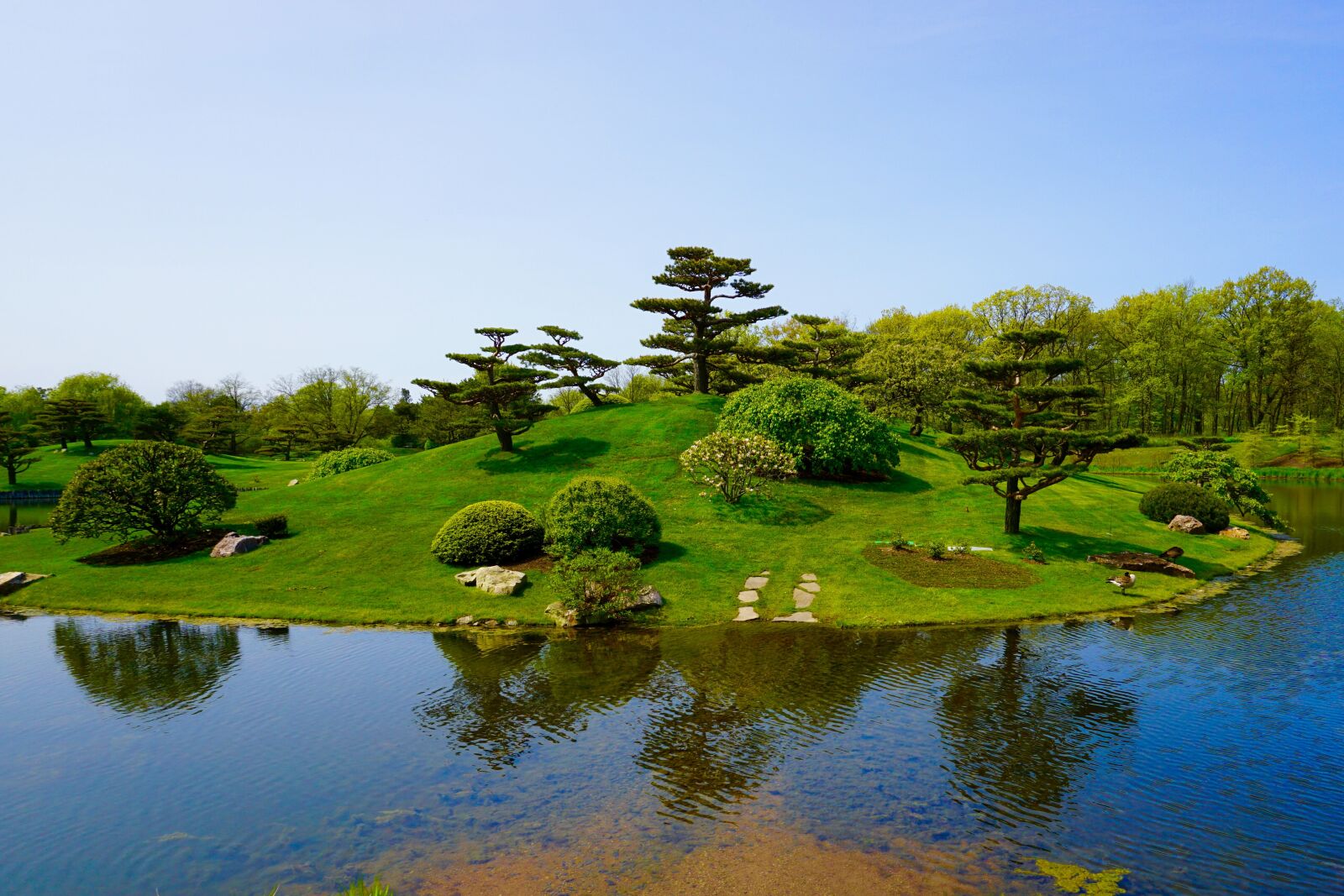 Sony a5100 sample photo. Japanese garden, trees, lake photography