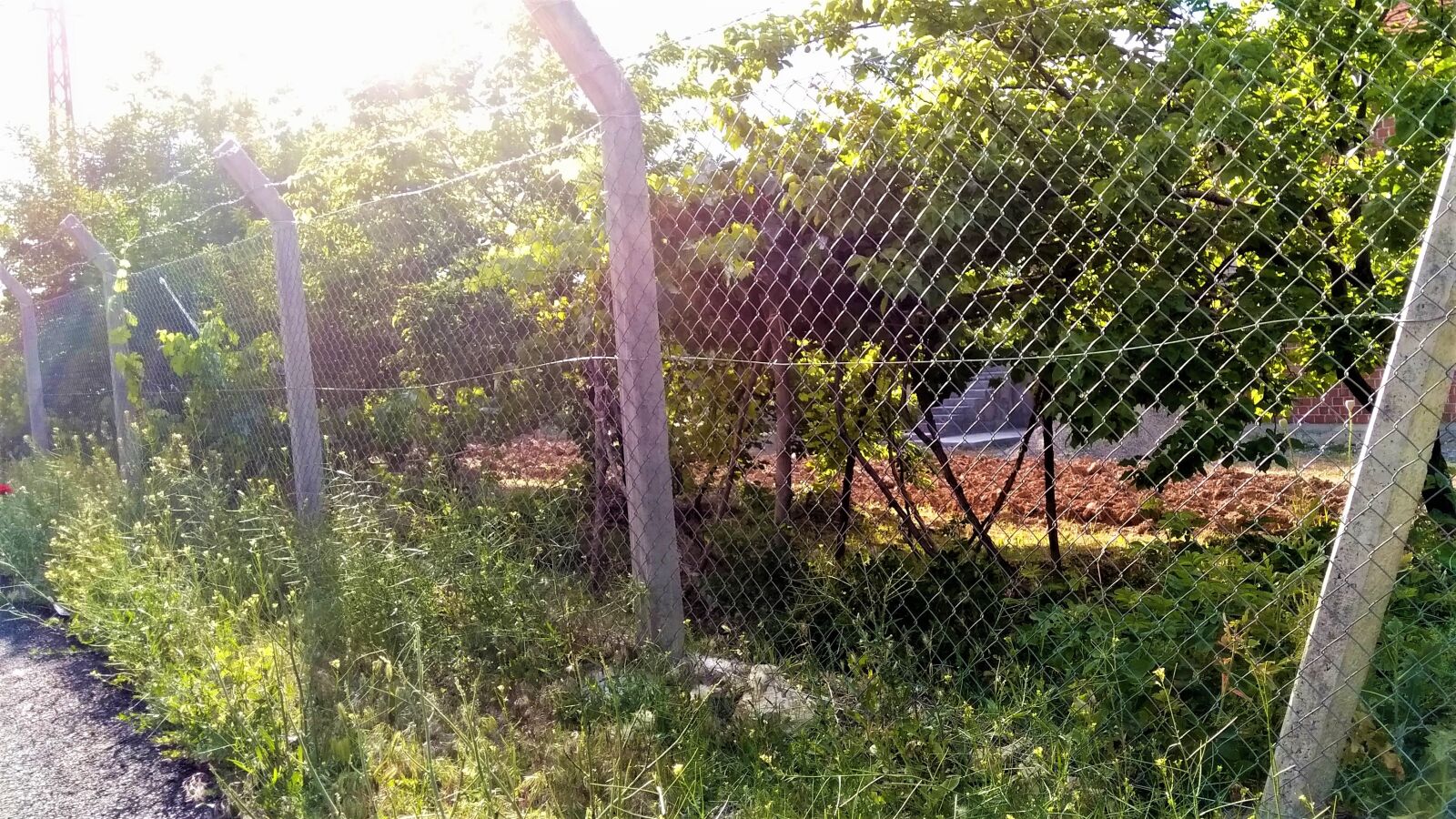 General Mobile GM 5 Plus sample photo