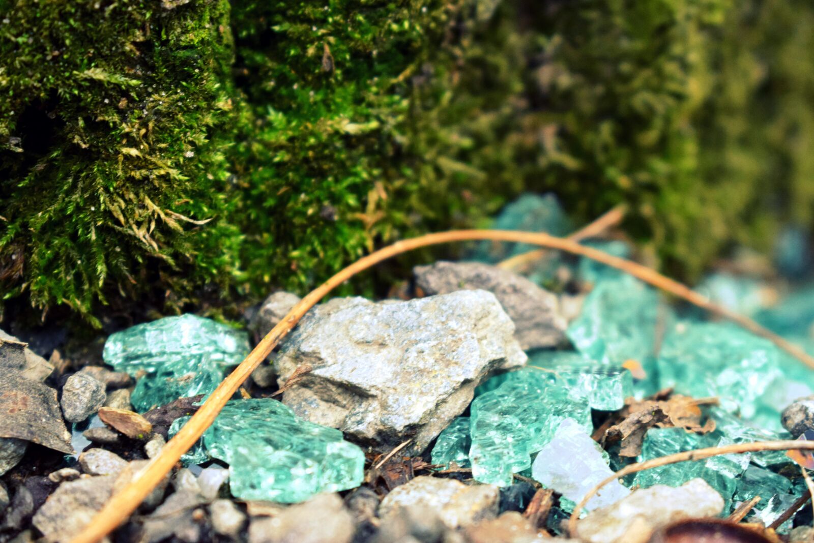 Nikon D3300 sample photo. Nature, macro, moss photography