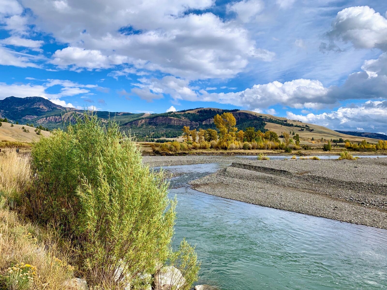Apple iPhone XS sample photo. Yellowstone, yellowstone national park photography