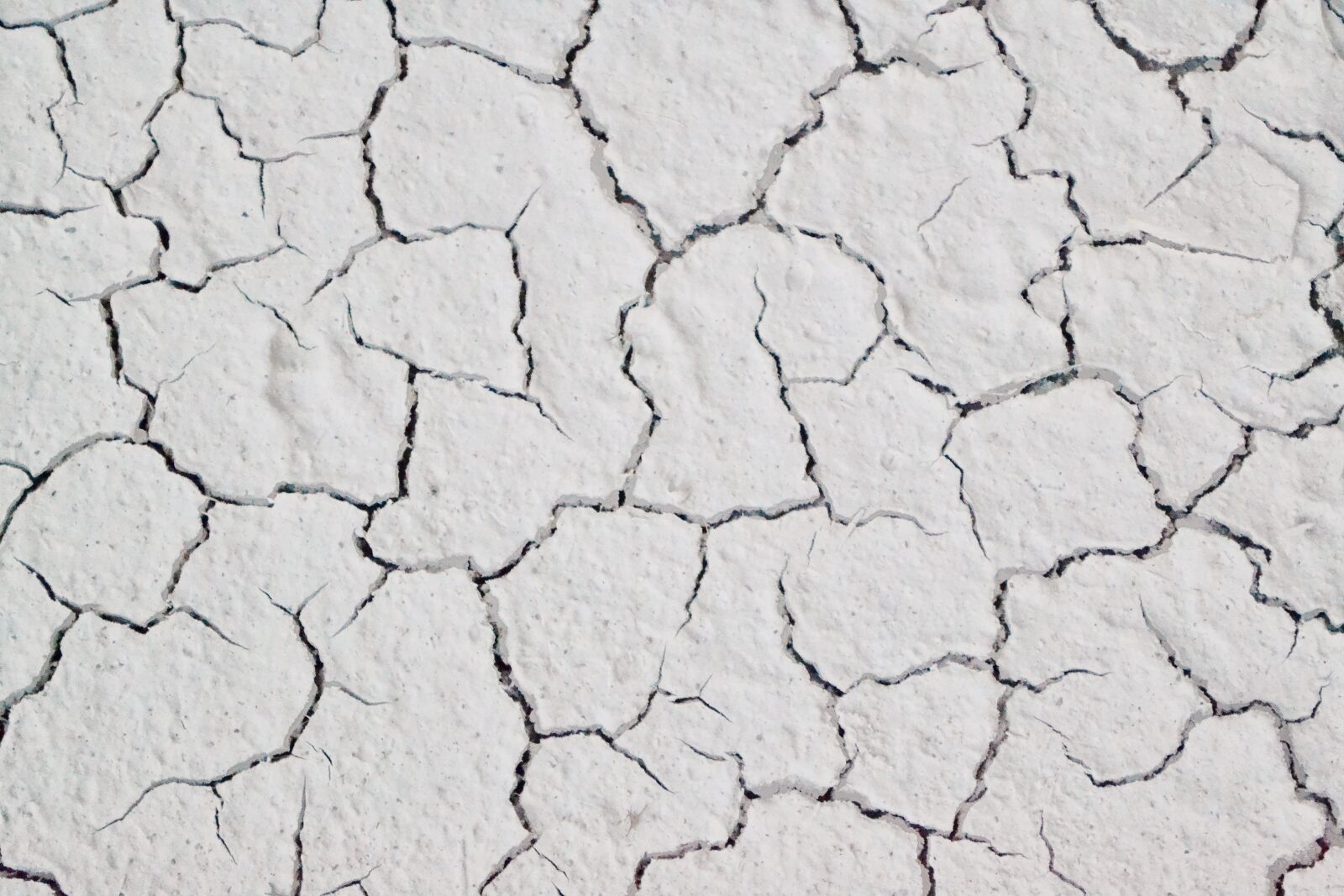 Nikon D3100 sample photo. White paint cracks, pattern photography