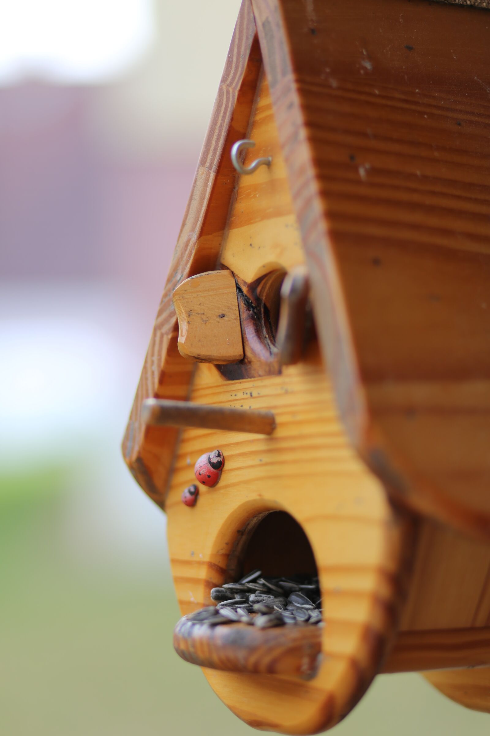 Canon EF 85mm F1.8 USM sample photo. Nest, feed the birds photography