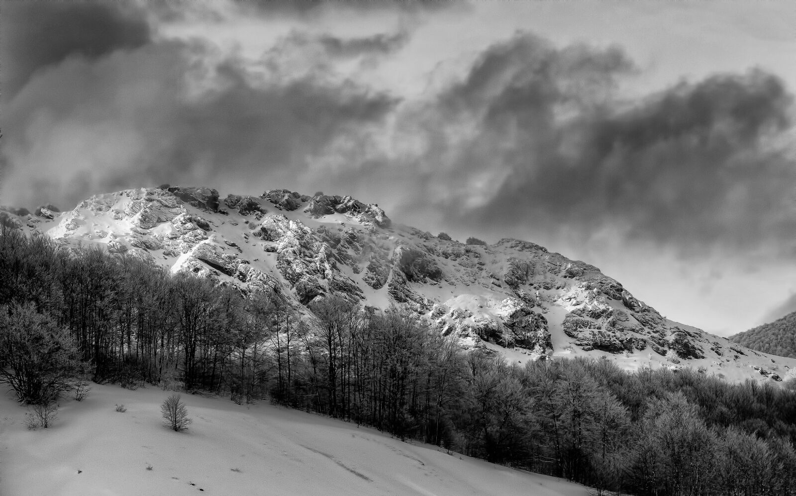 Nikon D7200 sample photo. Snow, winter, cold photography