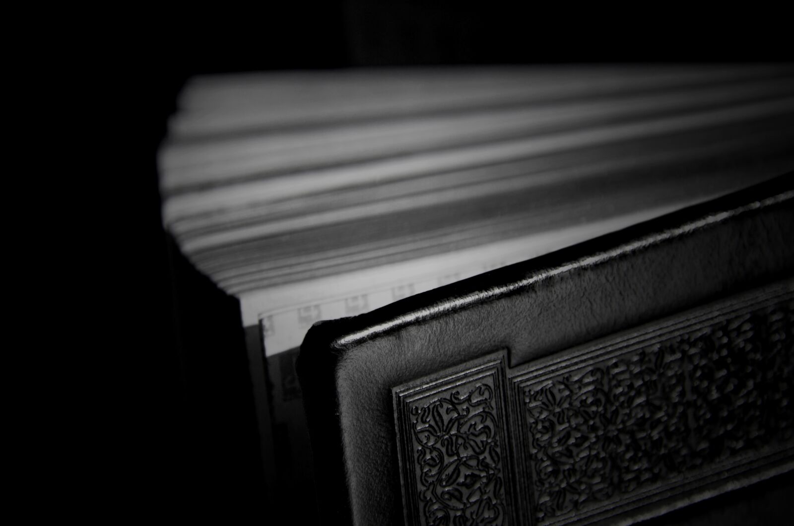 Nikon D7000 sample photo. Education, wisdom, book bindings photography