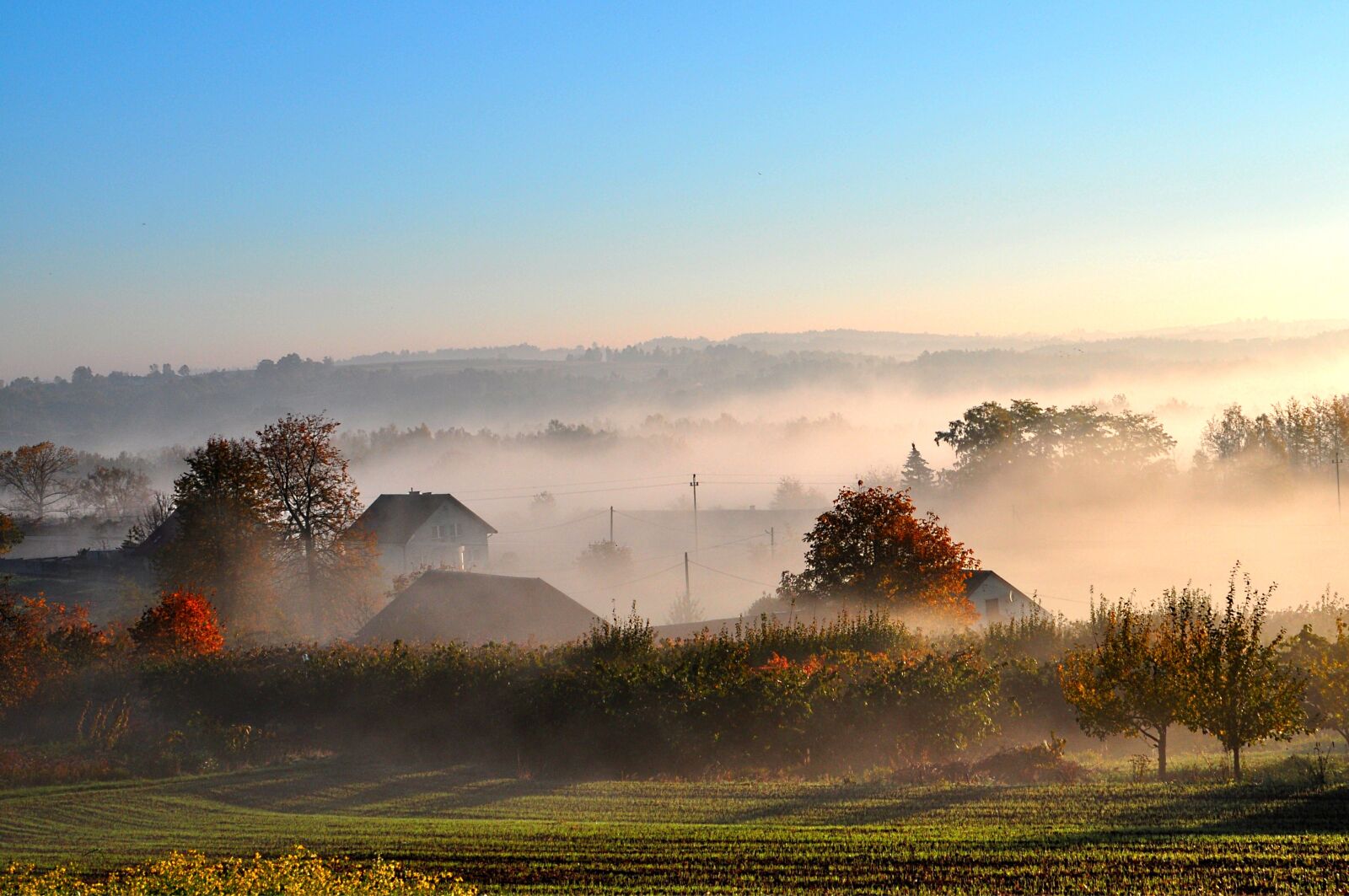 Nikon D5000 sample photo. Autumn, the fog, morning photography