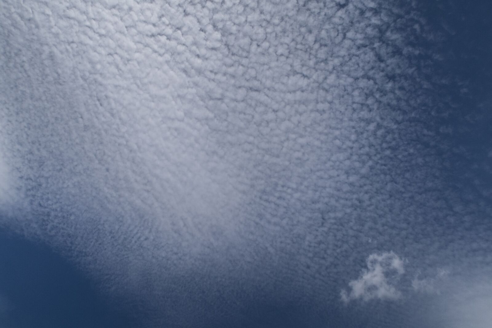 Canon PowerShot G7 X Mark II sample photo. Cirrocumulus clouds, blue, cirrocumulus photography