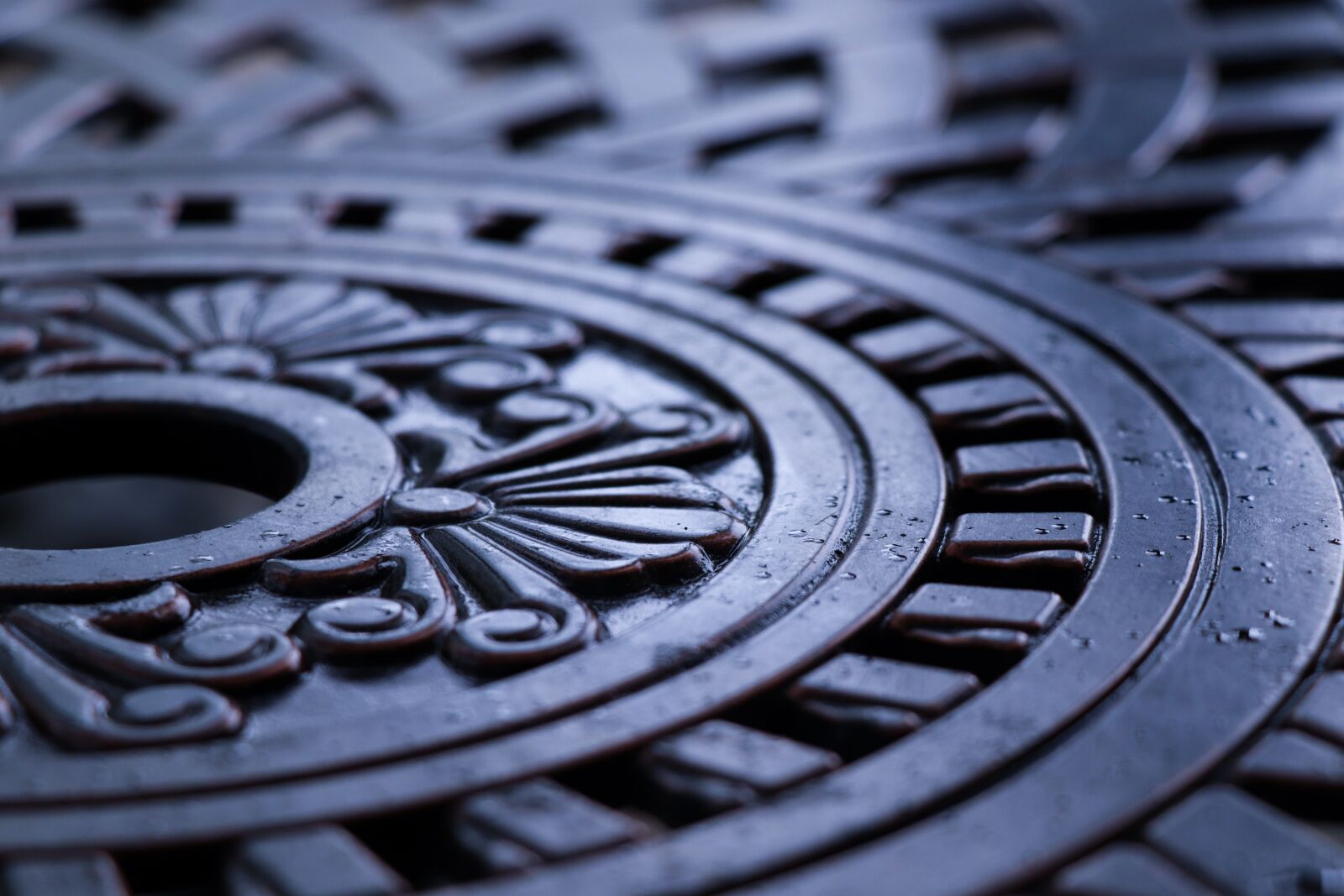 Canon EOS 77D (EOS 9000D / EOS 770D) sample photo. Metal, crafts, wrought iron photography