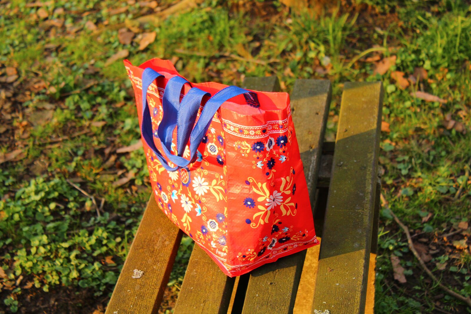 Canon EOS 4000D (EOS Rebel T100 / EOS 3000D) sample photo. Bag, handbag, colors photography
