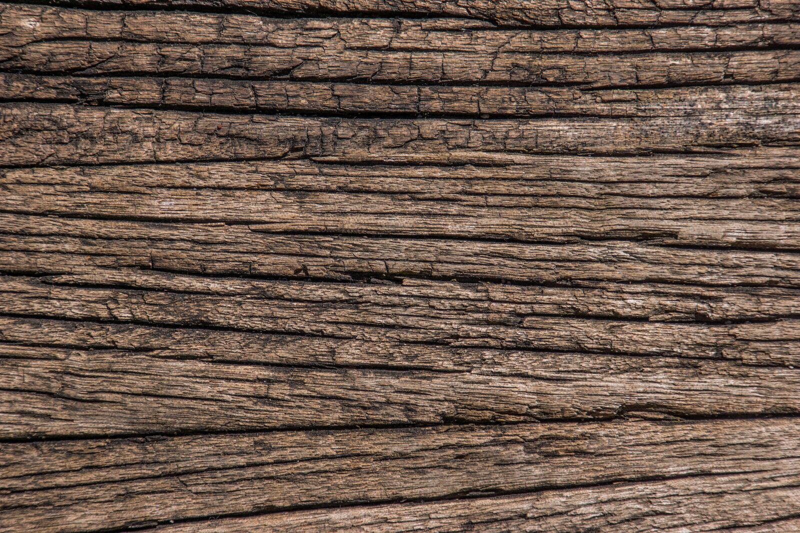 Tamron 16-300mm F3.5-6.3 Di II VC PZD Macro sample photo. Wood, old, oak photography