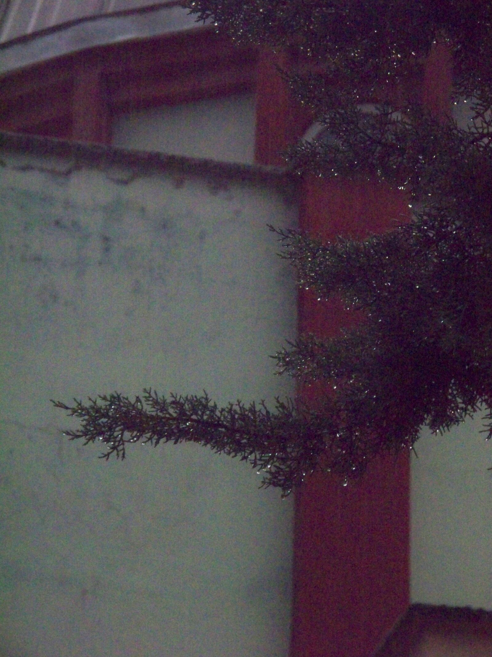 Kodak EASYSHARE Z1485 IS DIGITAL CAMERA sample photo